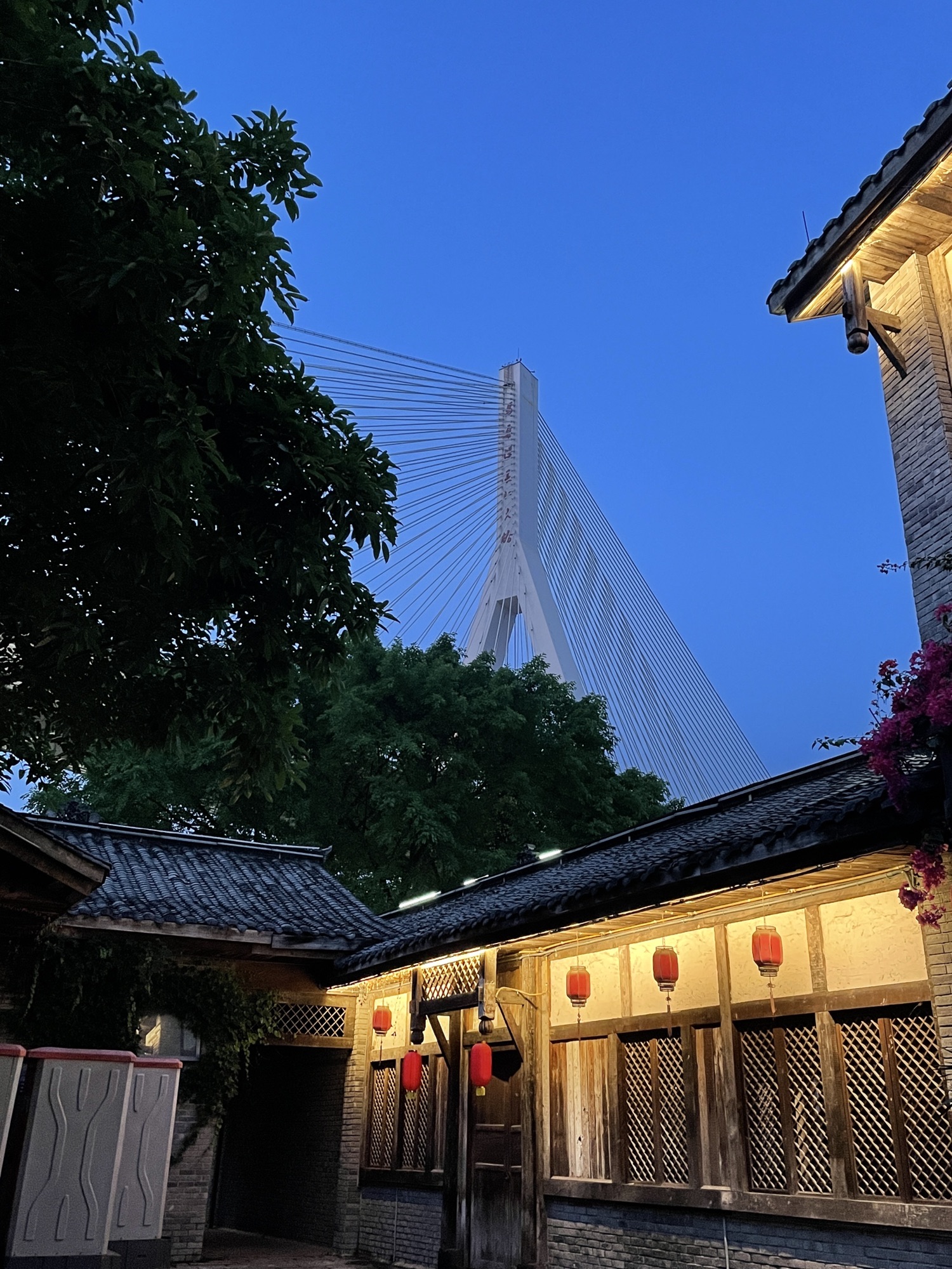 义渡古镇旅行图片 2