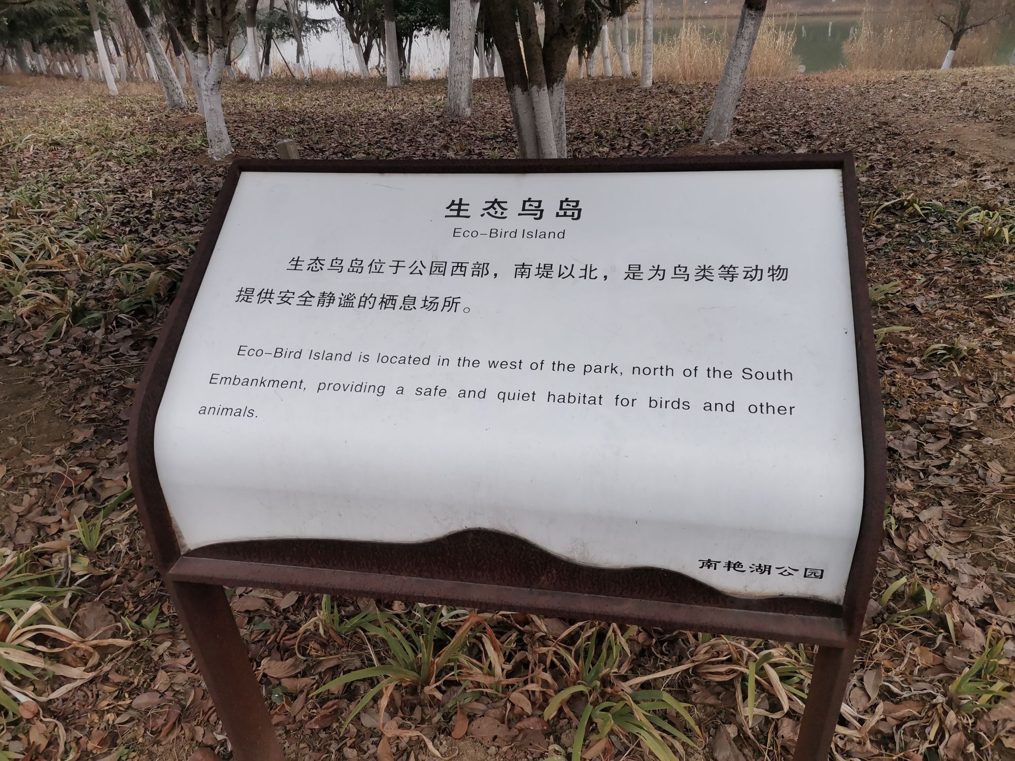 生态鸟岛
