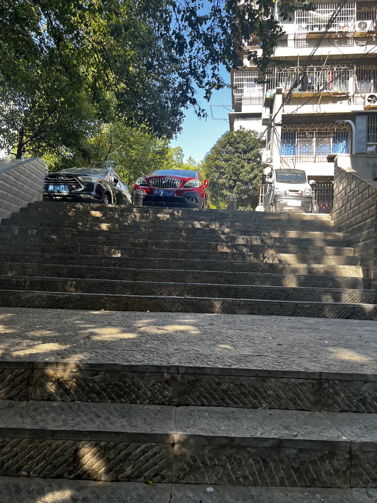 西段古城墙旅行图片 3