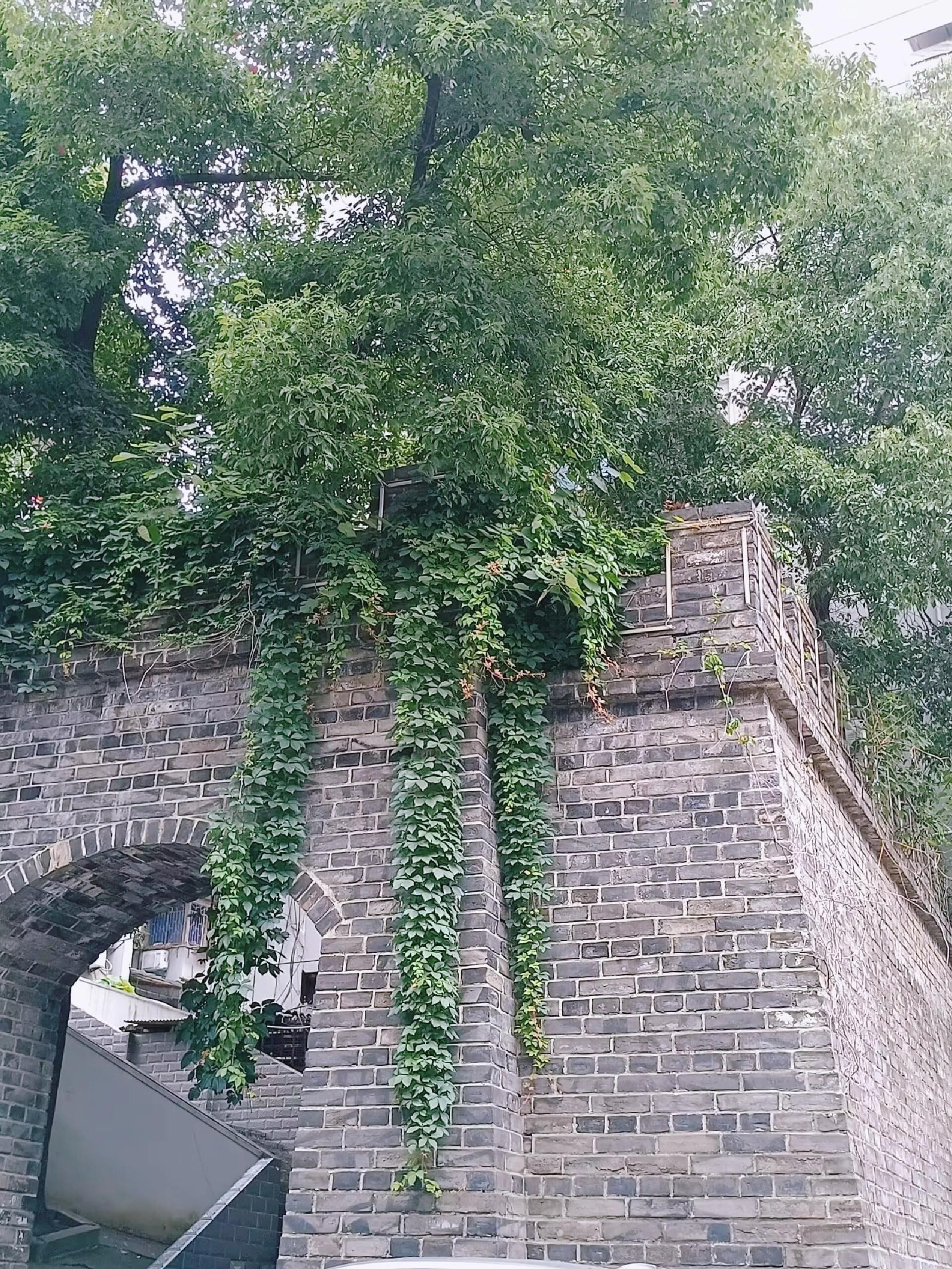 西段古城墙旅行图片 1