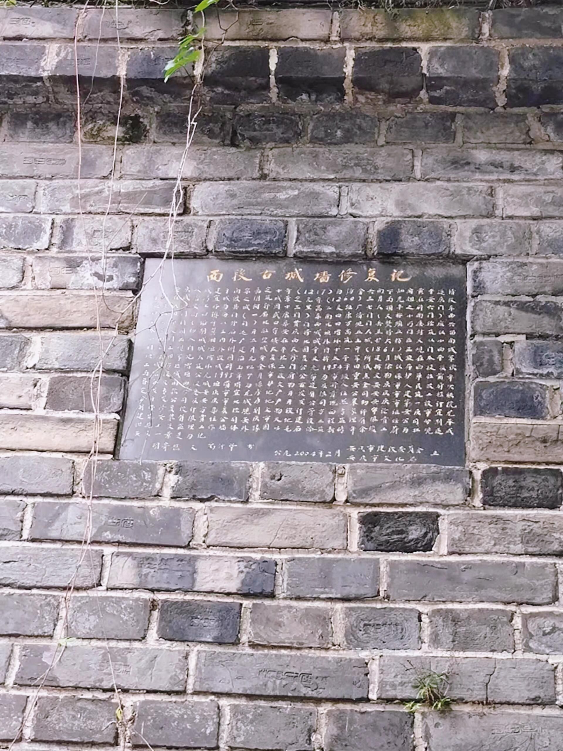 西段古城墙旅行图片 2