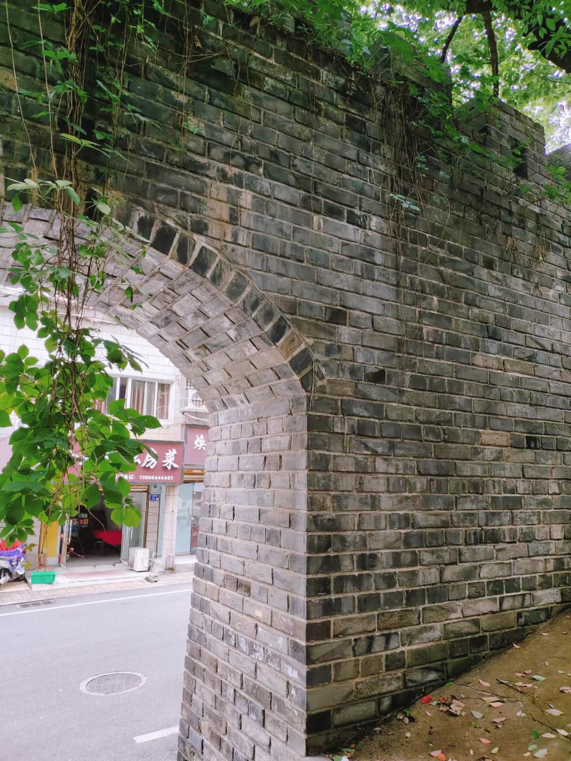 西段古城墙旅行图片 3