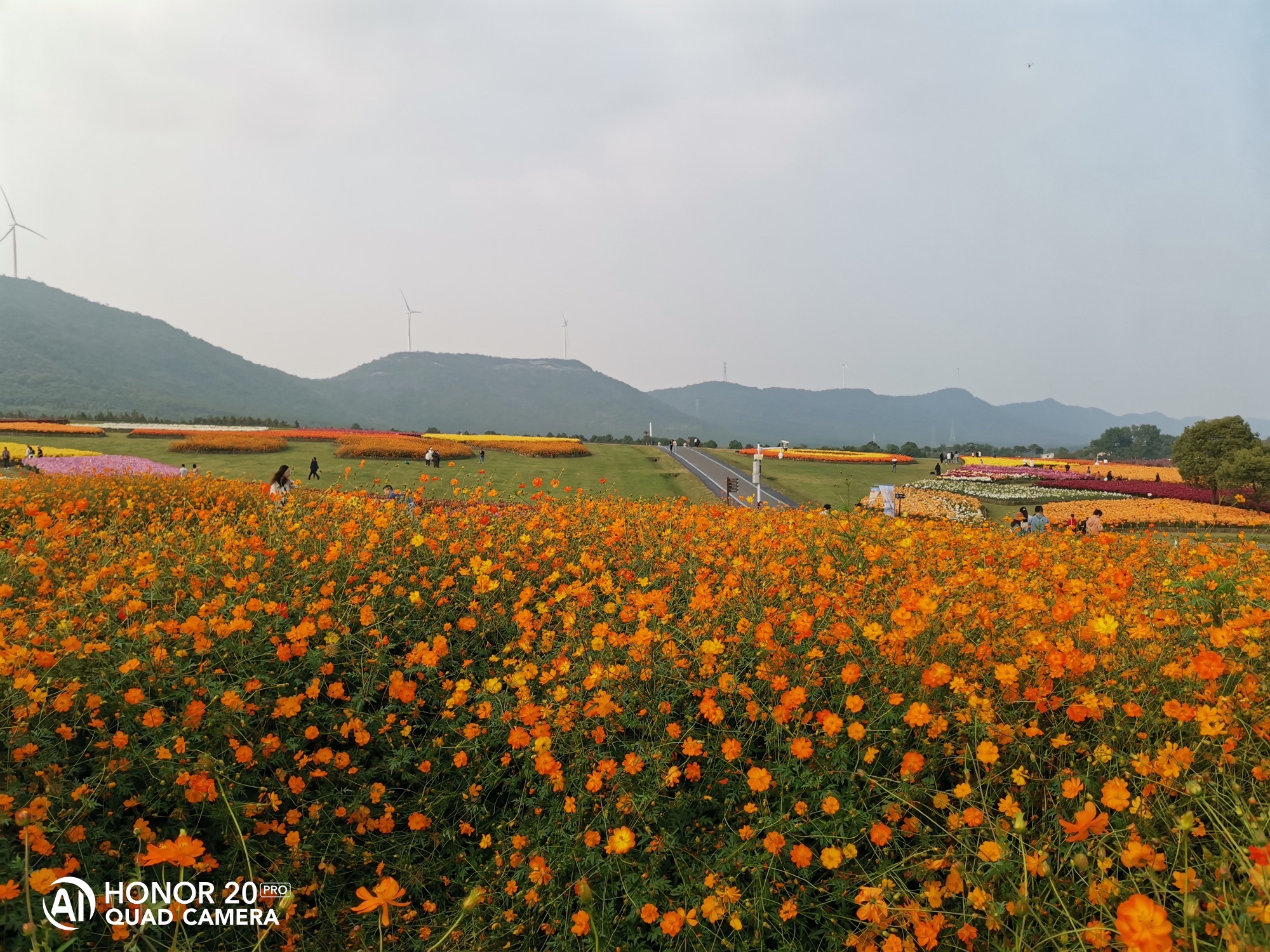 半岛花溪乐园旅行图片 3