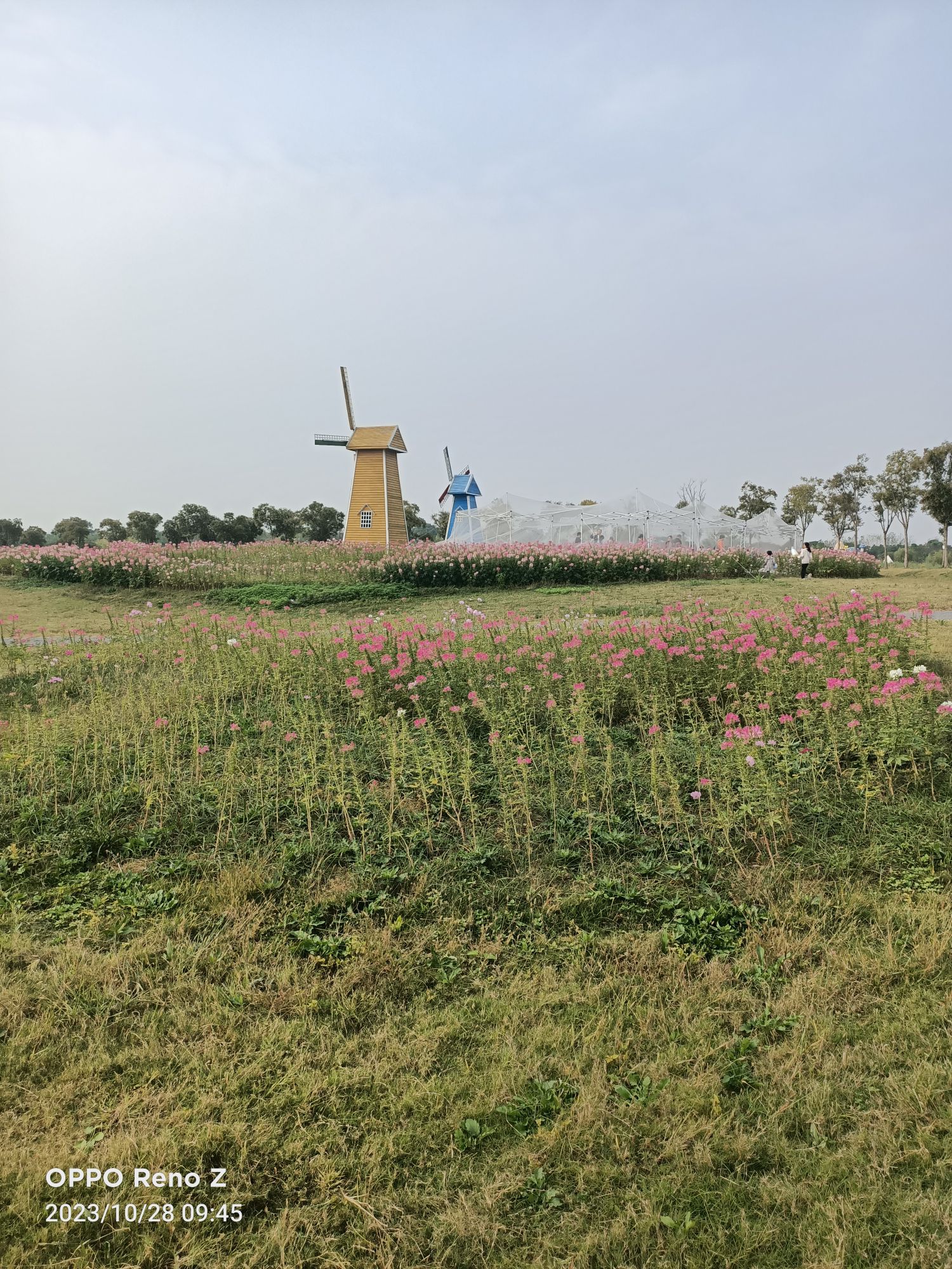 半岛花溪乐园旅行图片 3