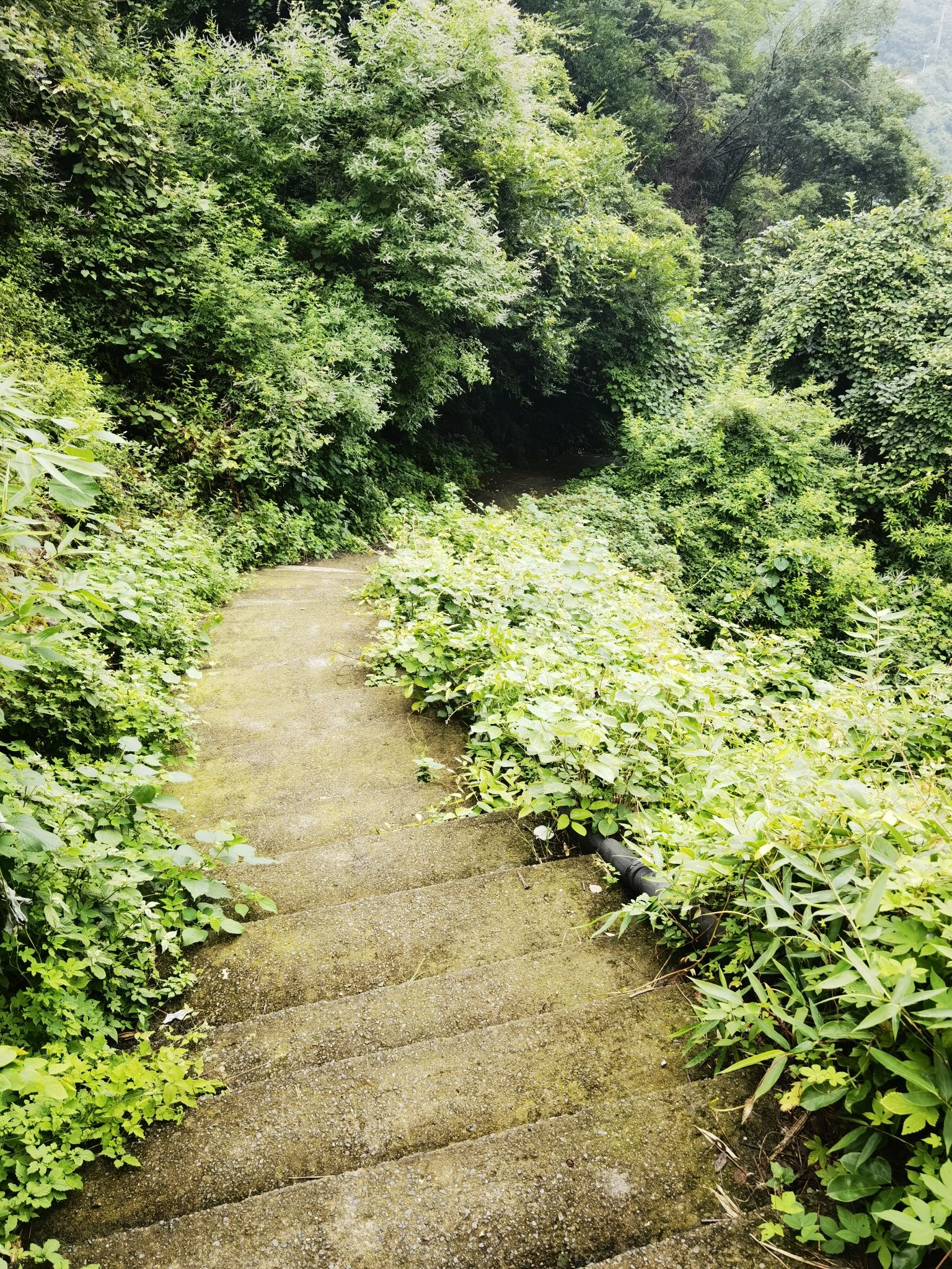 飞云洞旅行图片 3