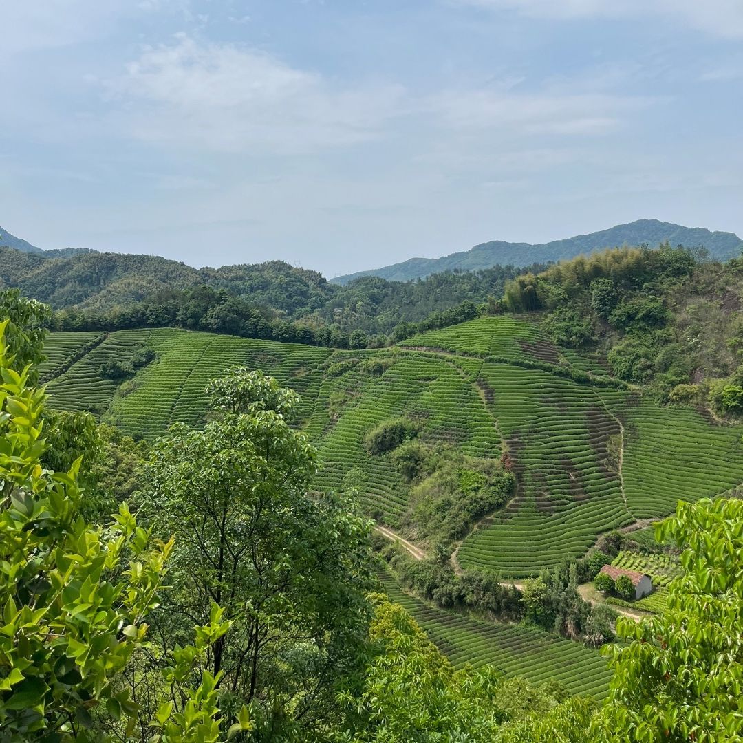 月牙谷景区旅行图片 3