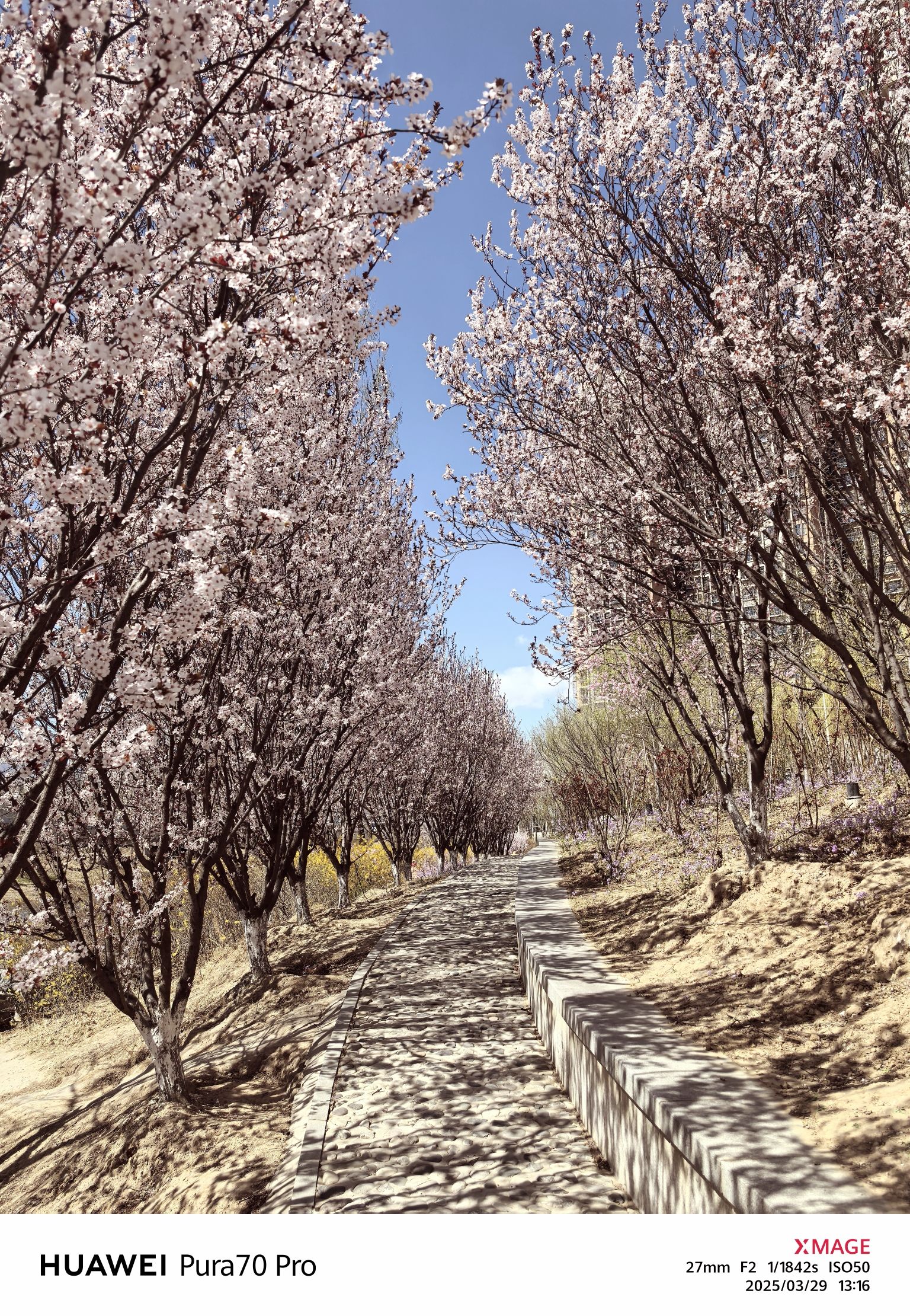 石门营运动公园