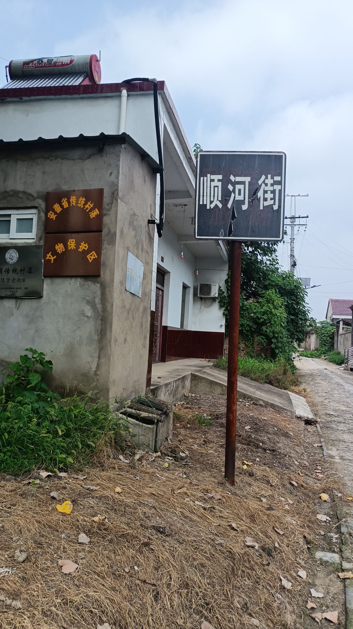 隐贤老街旅行图片 2
