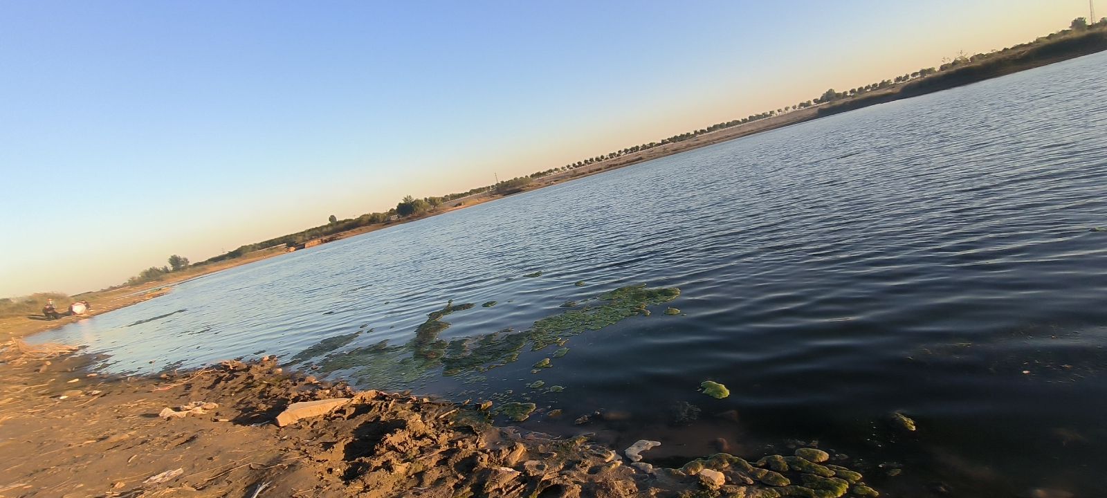 槐河千岛湿地旅行图片 2