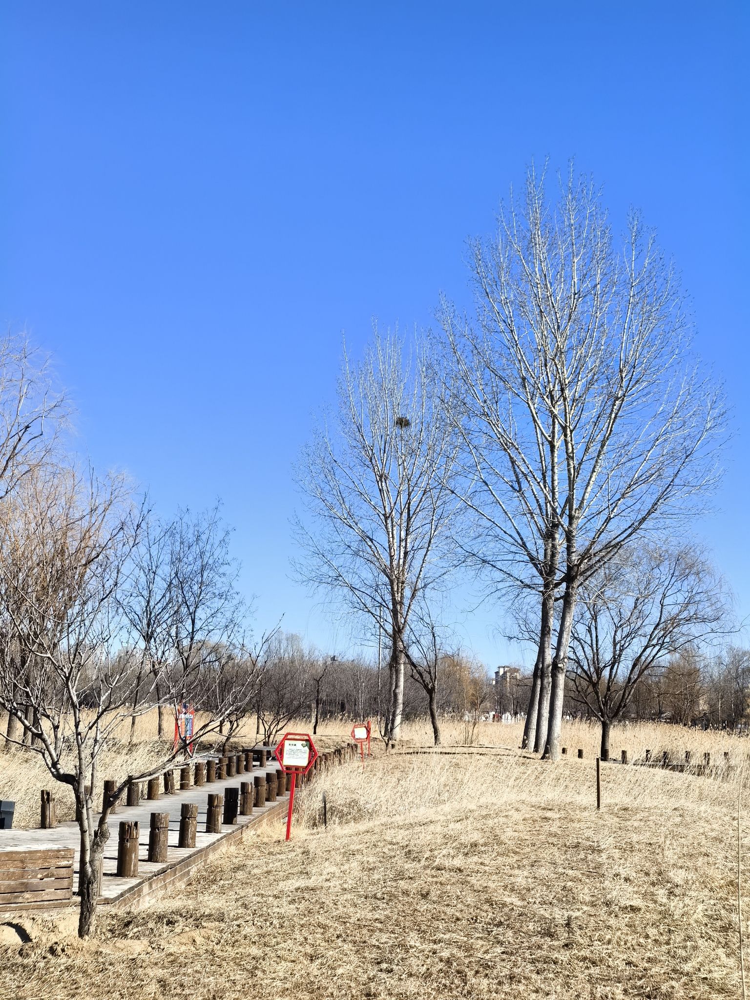 健康公园旅行图片 3