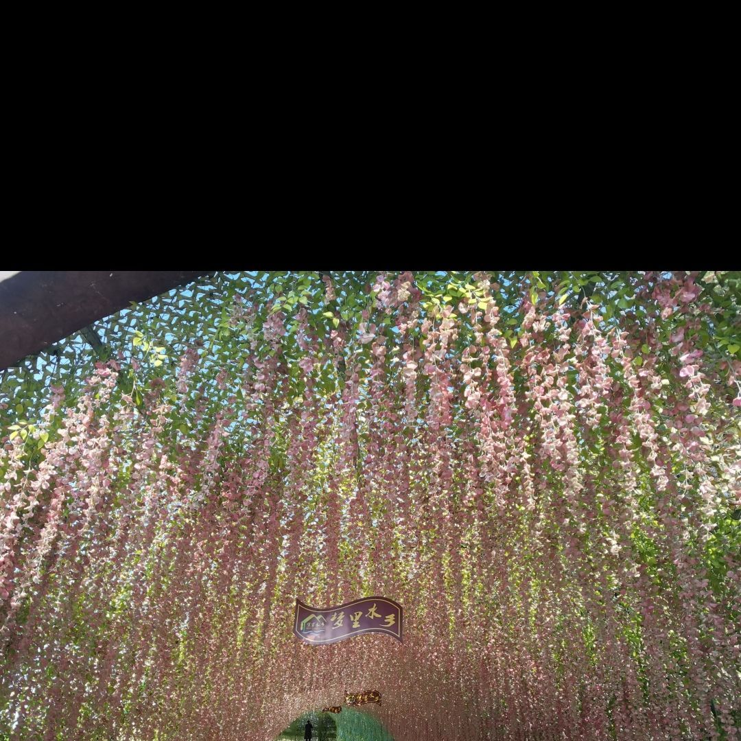 梦里水乡风景区旅行图片 3