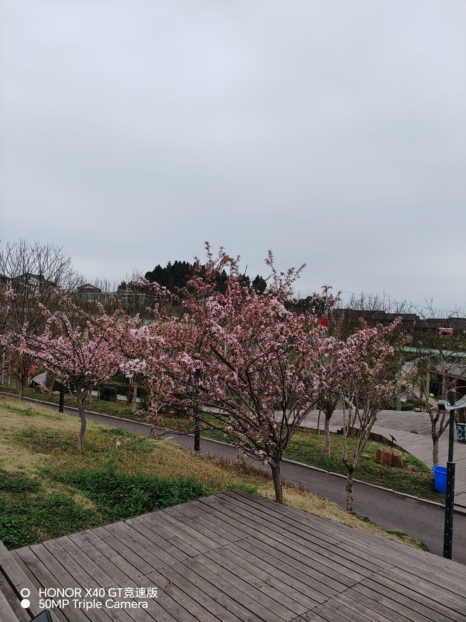 梦里水乡风景区旅行图片 1