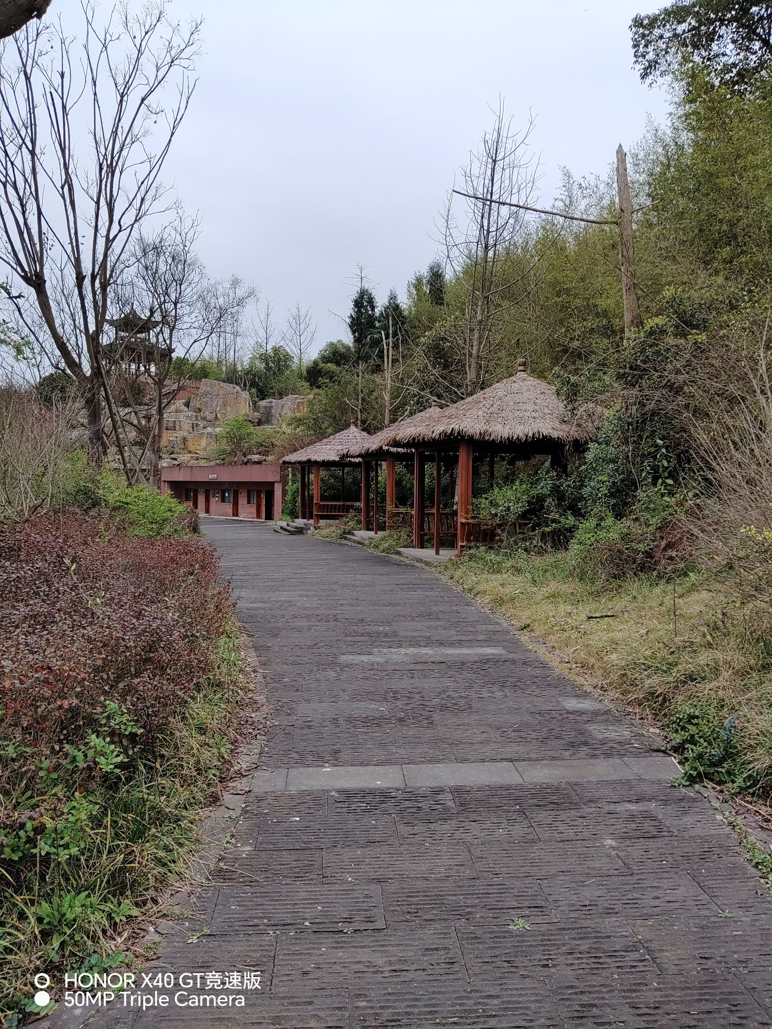 梦里水乡风景区旅行图片 2