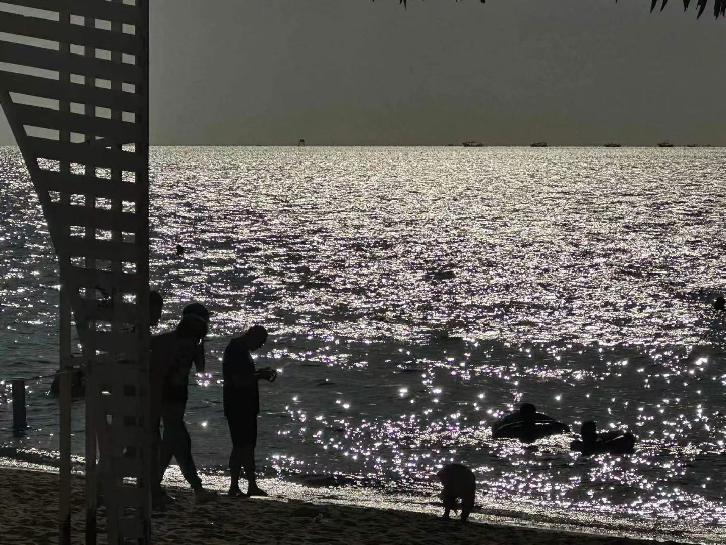 滨海渔滩旅行图片 1