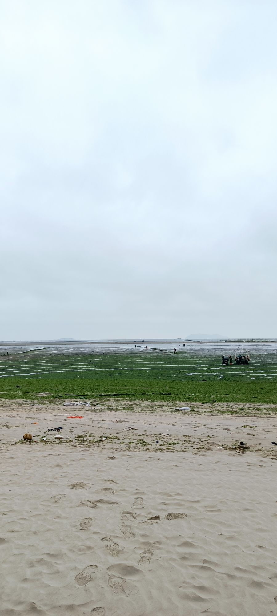 博贺平岚庆生沙滩旅行图片 2