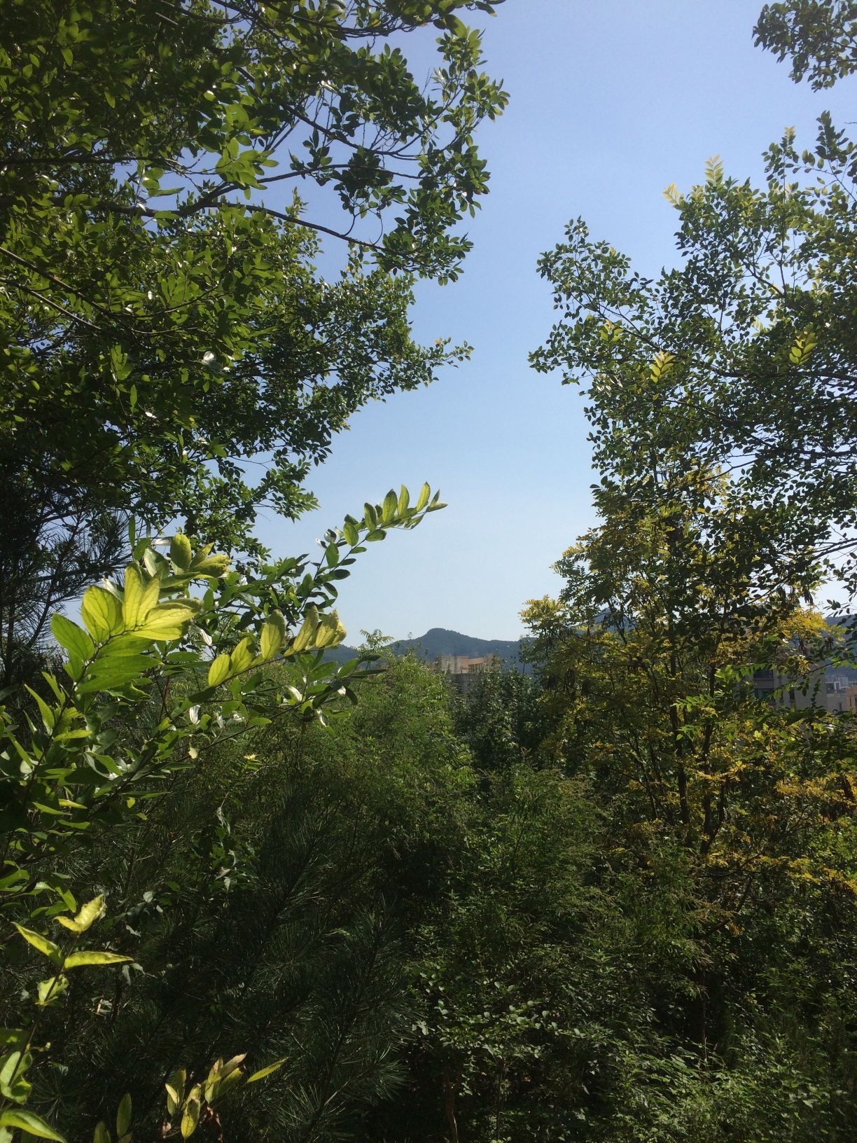 葫芦顶公园旅行图片 3