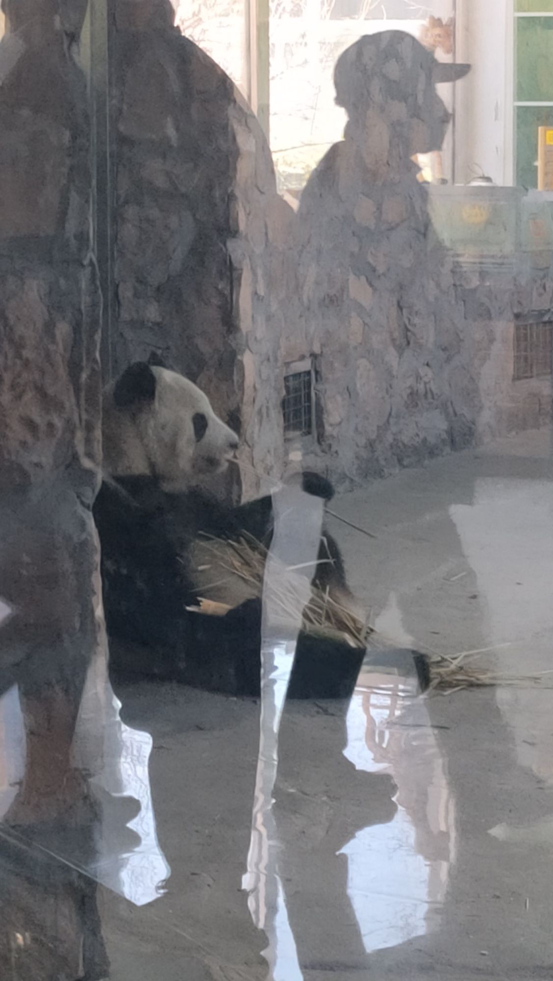 唐山花海中区旅行图片 1
