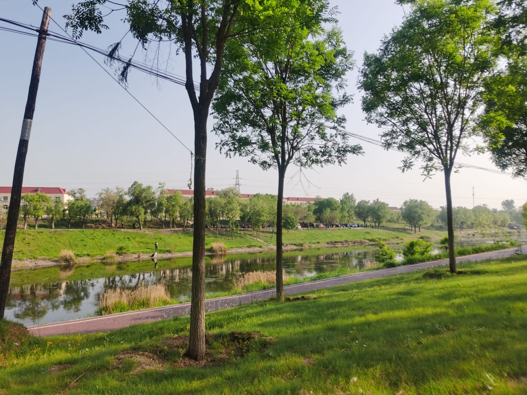 唐山花海中区旅行图片 2