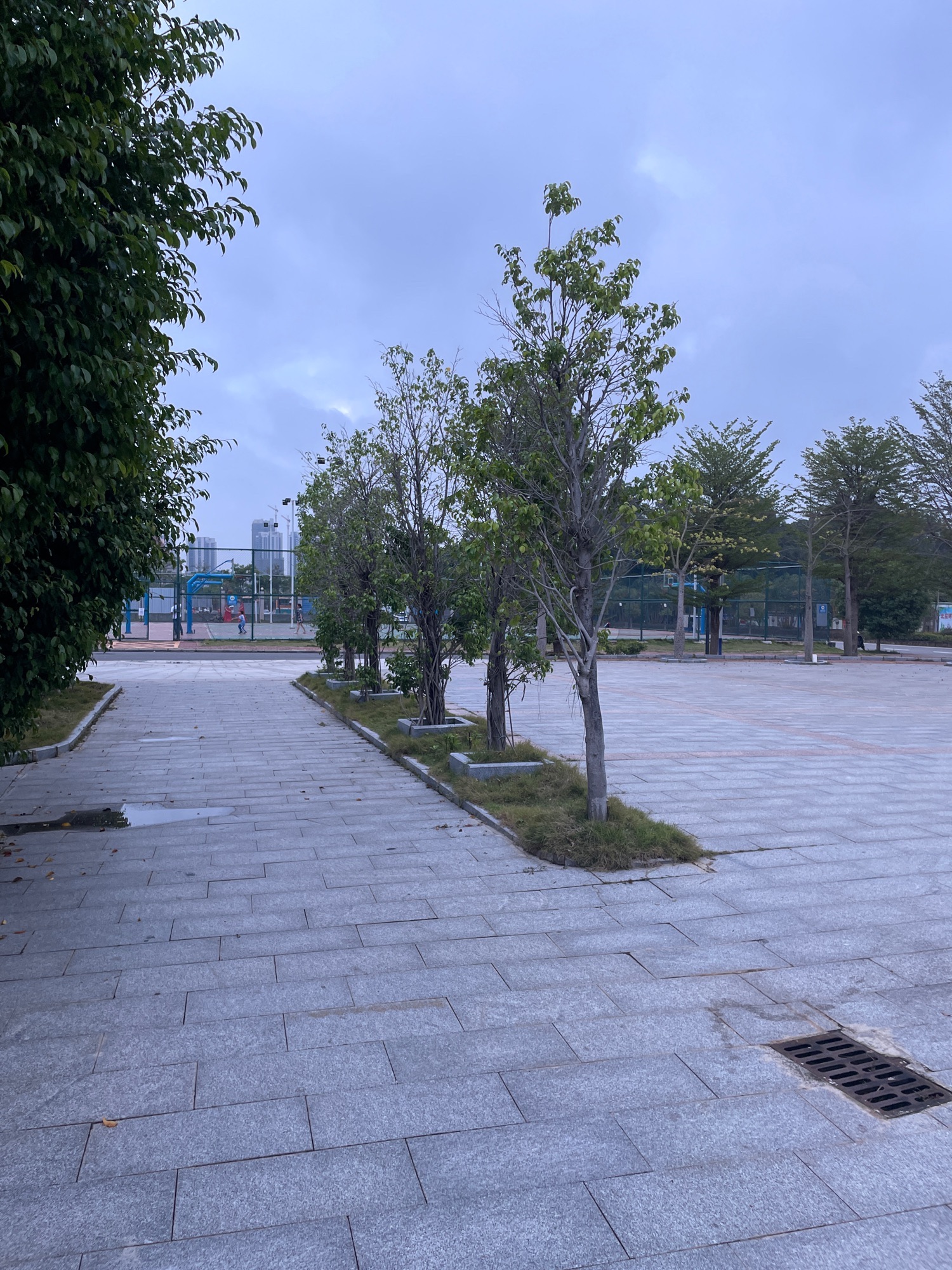 电白区体育公园(文体中心)旅行图片 3