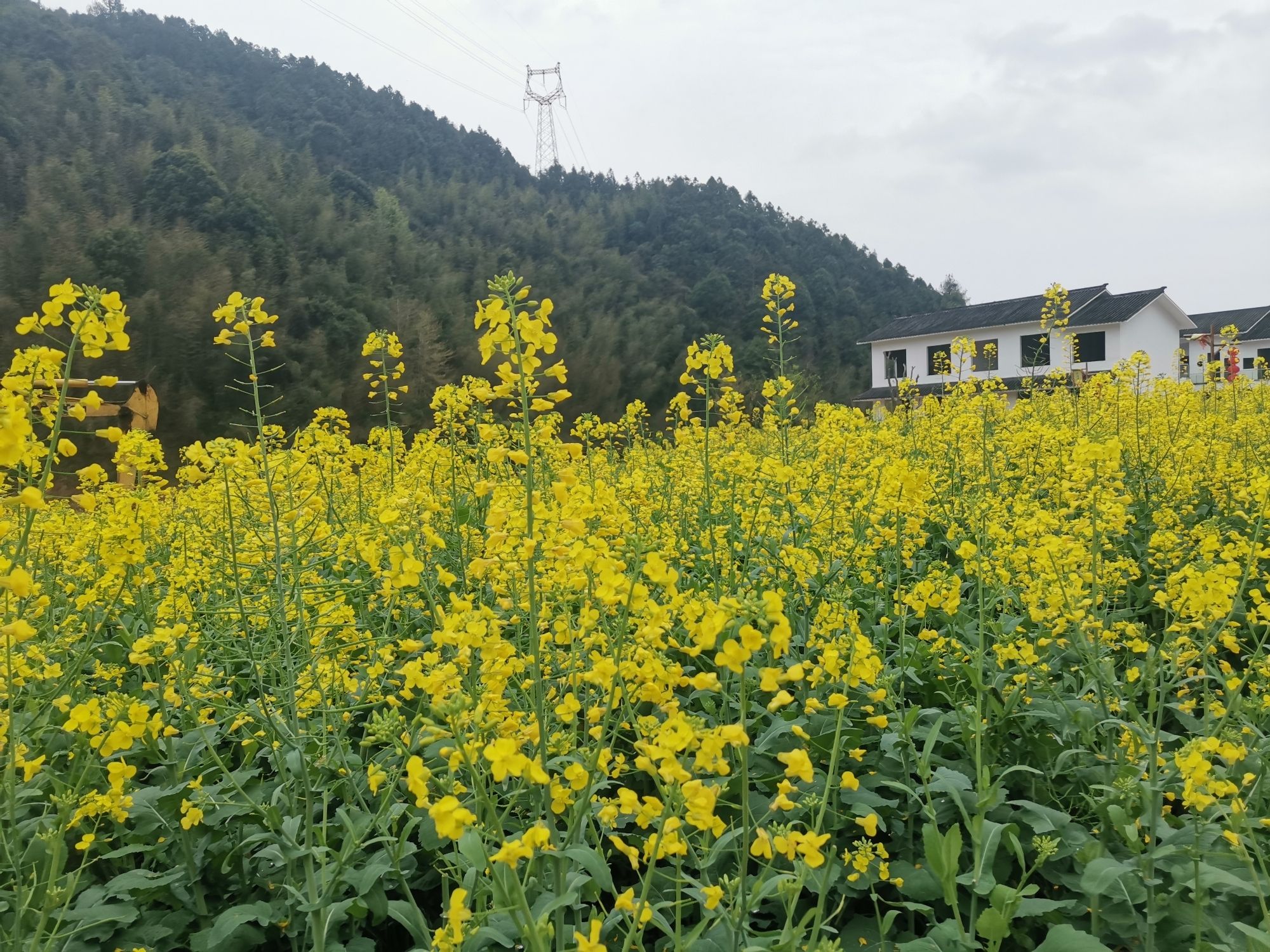天龙山景区旅行图片 1
