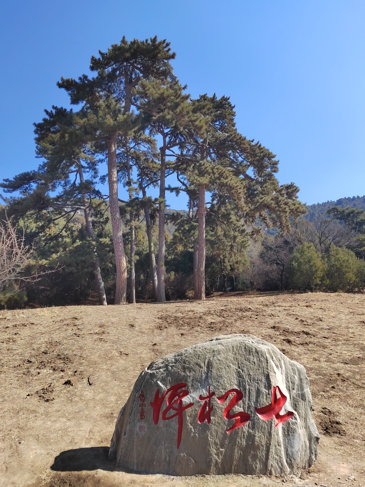 天龙山景区旅行图片 3