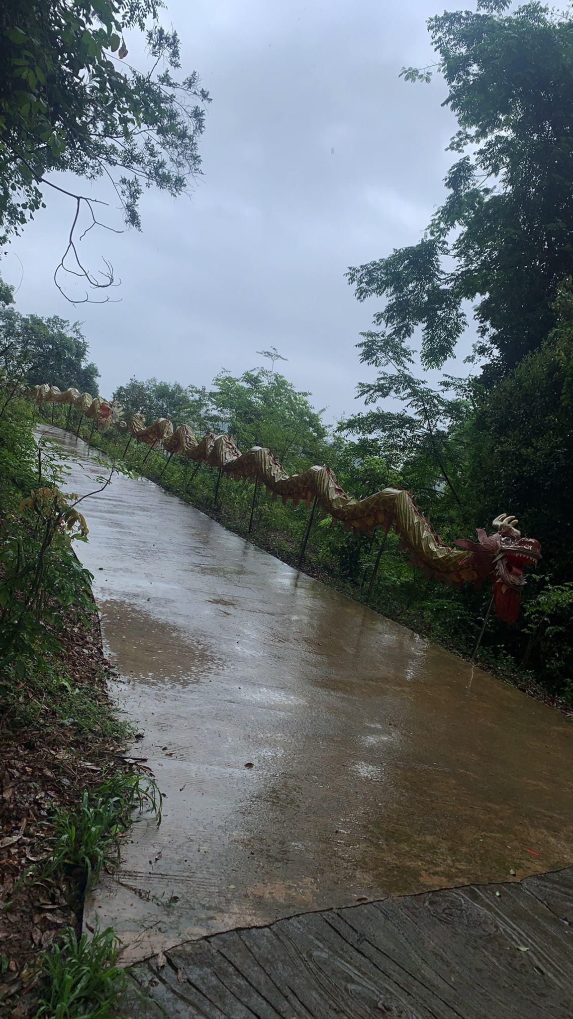 天龙山景区旅行图片 3