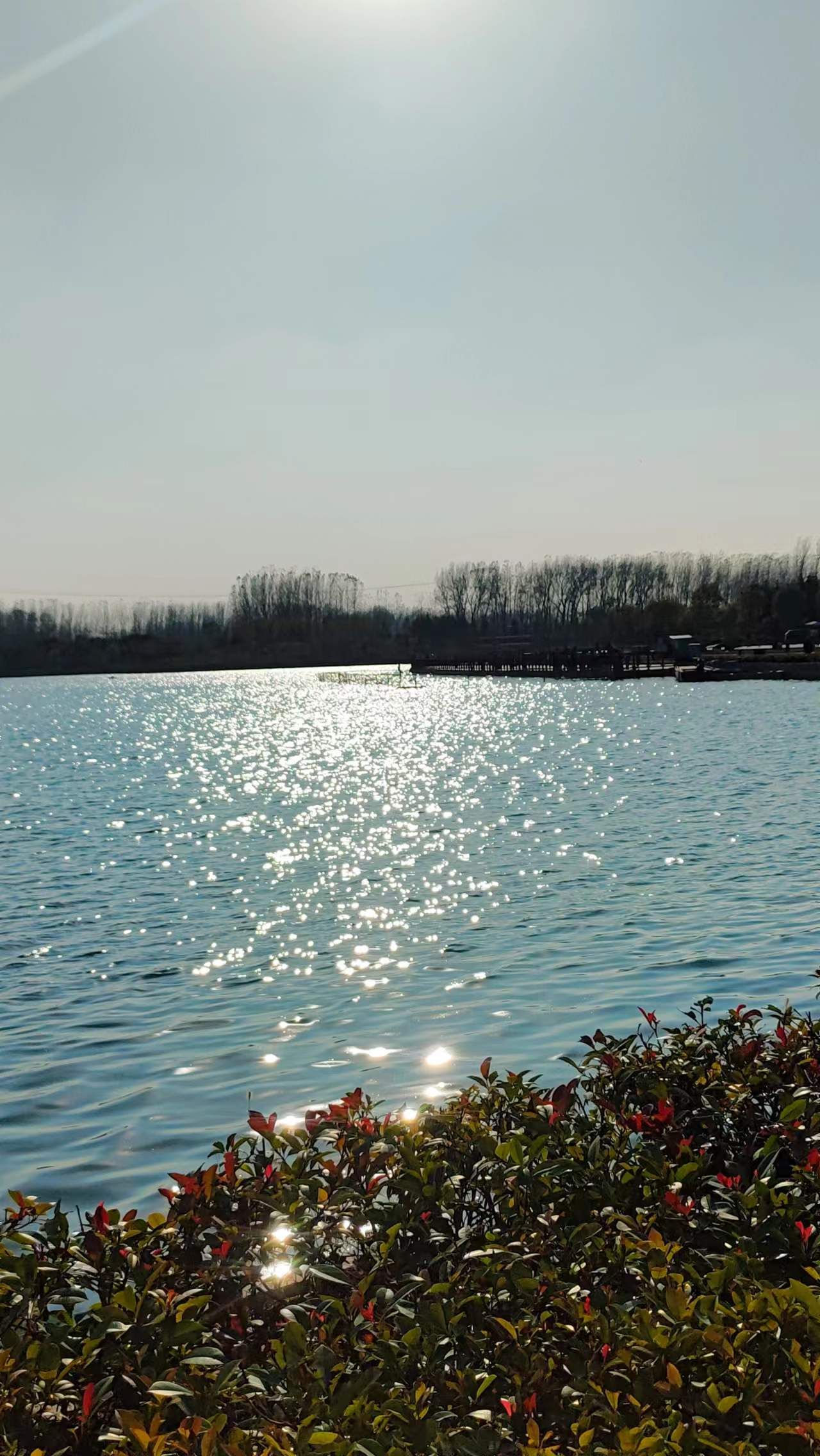天水湖公园旅行图片 1