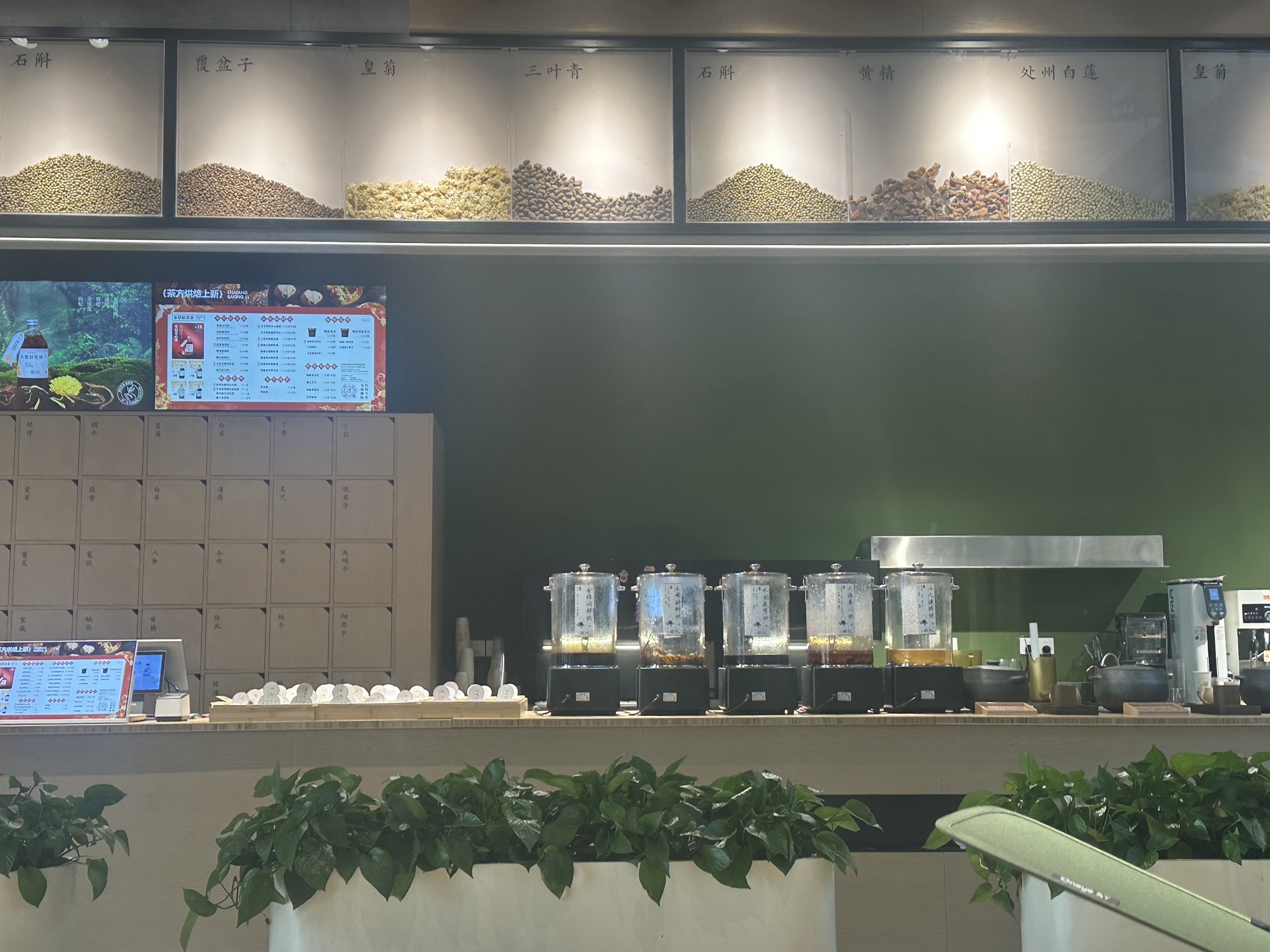 华东药用植物园旅行图片 3