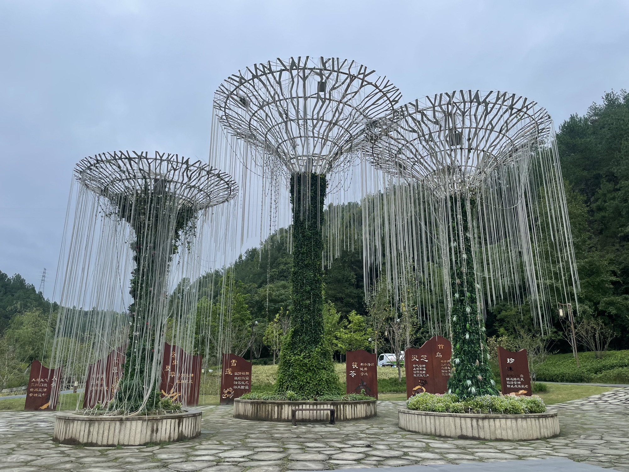 华东药用植物园旅行图片 2