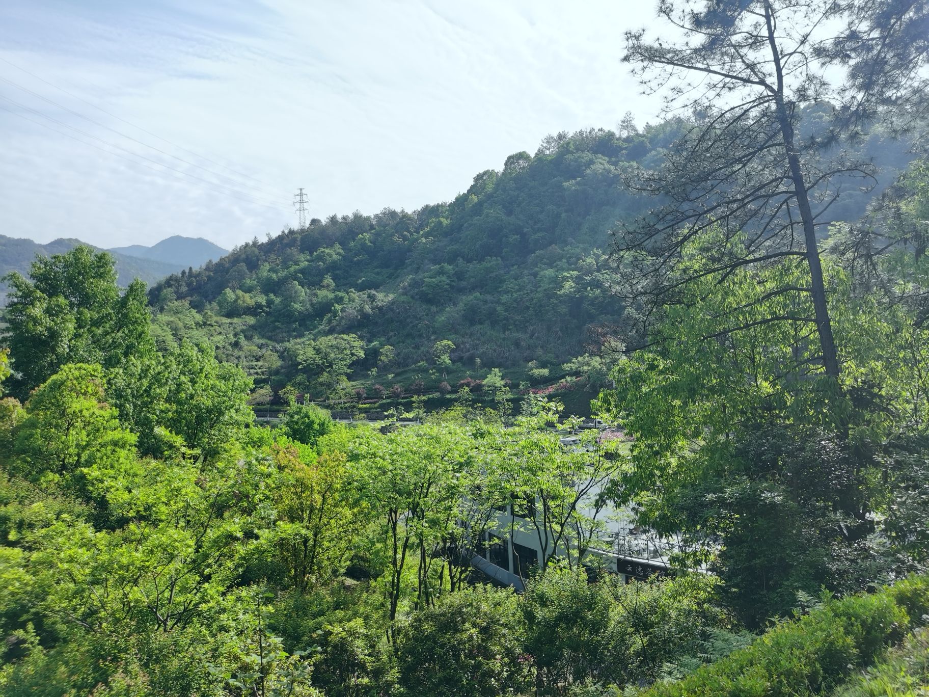 华东药用植物园旅行图片 3