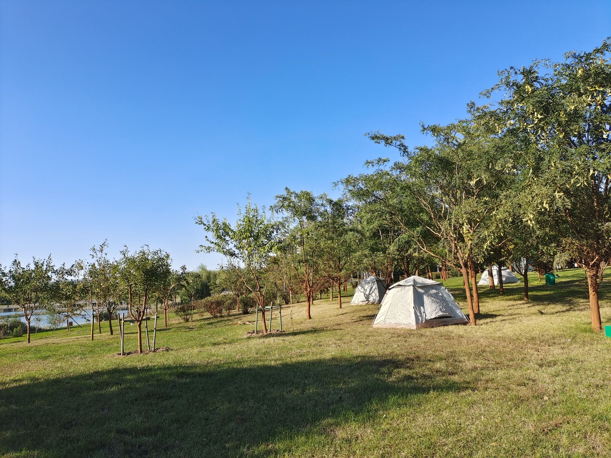 中德公园旅行图片 1