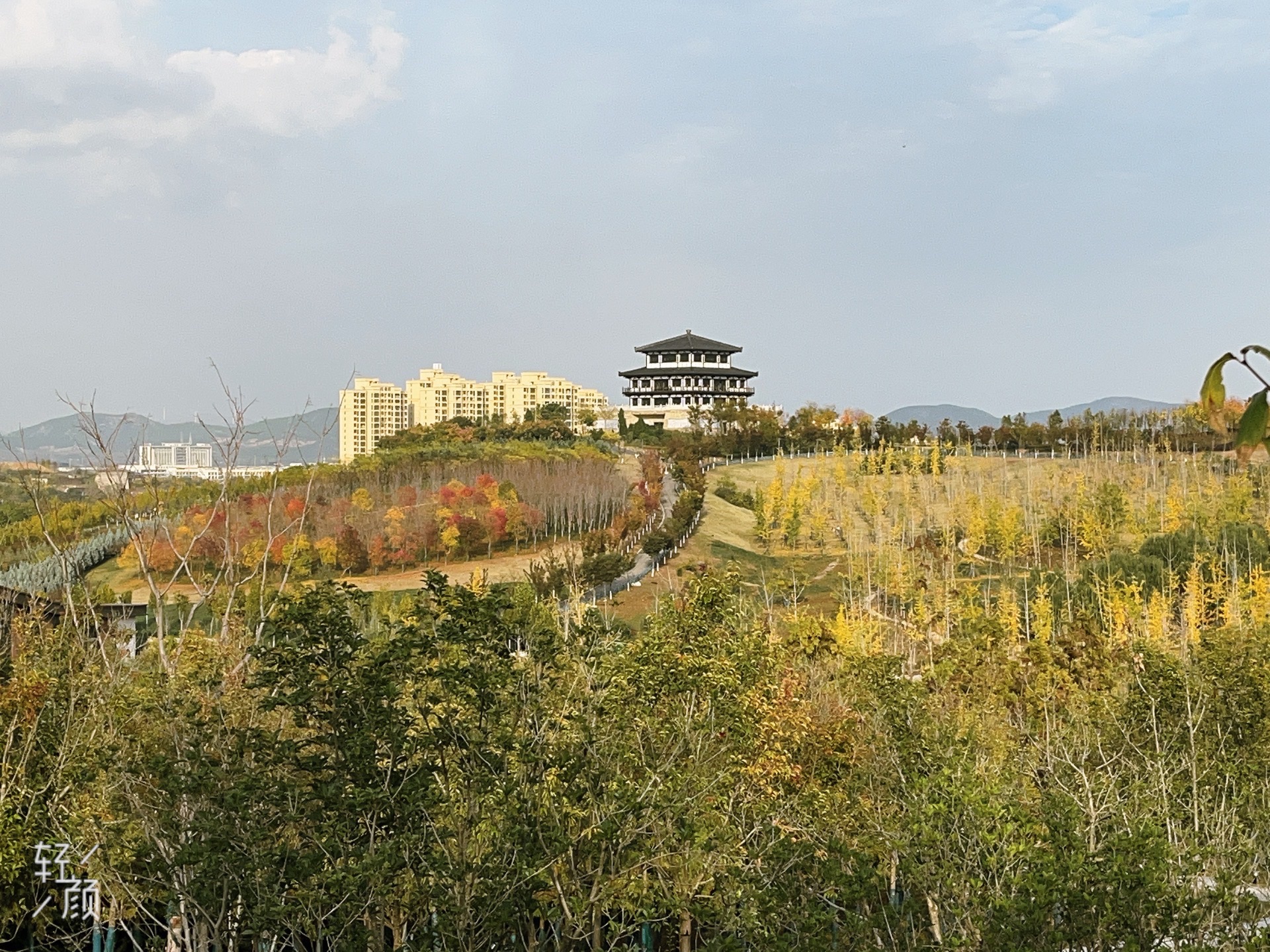 花山公园旅行图片 1