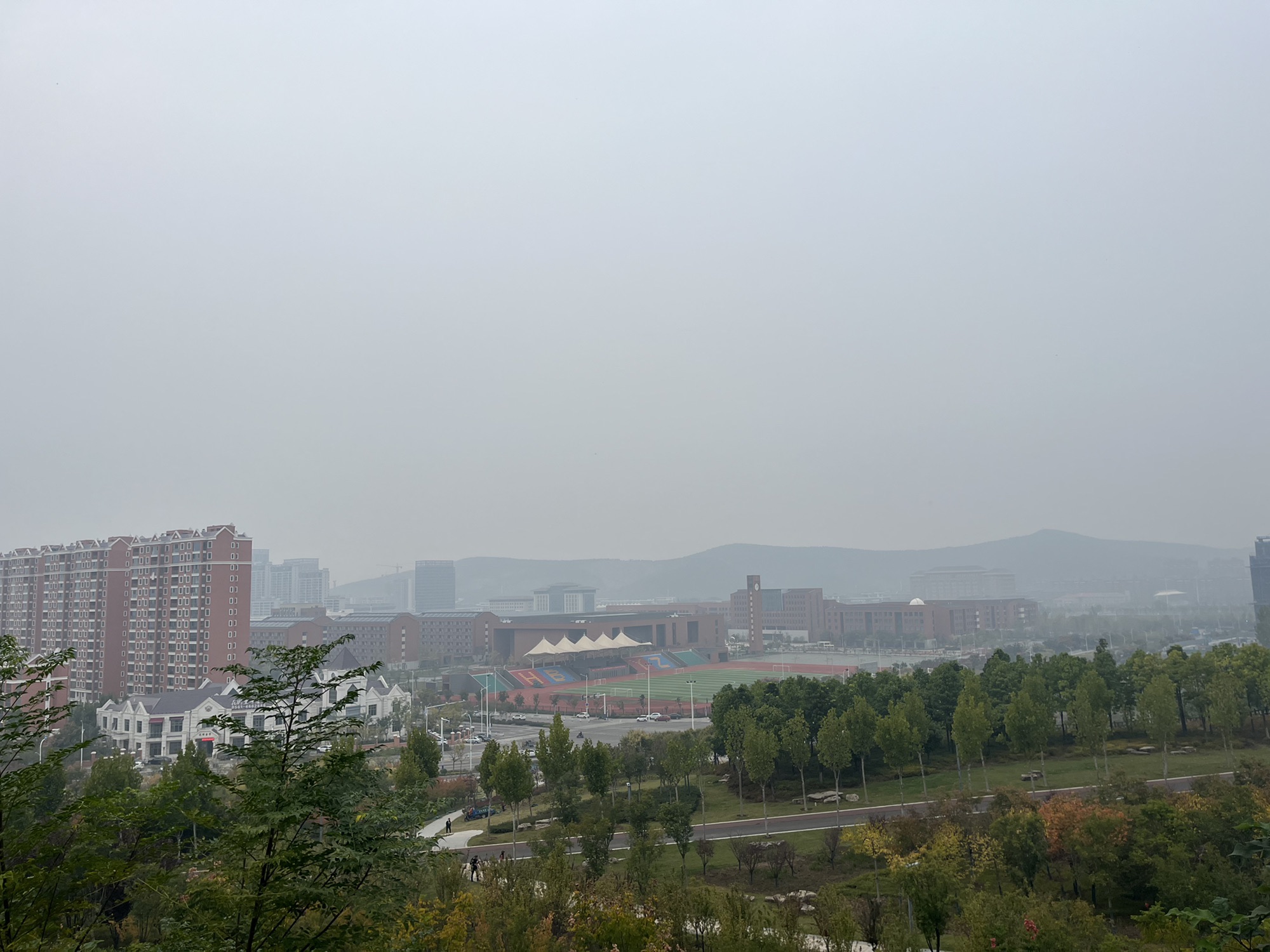 花山公园旅行图片 3