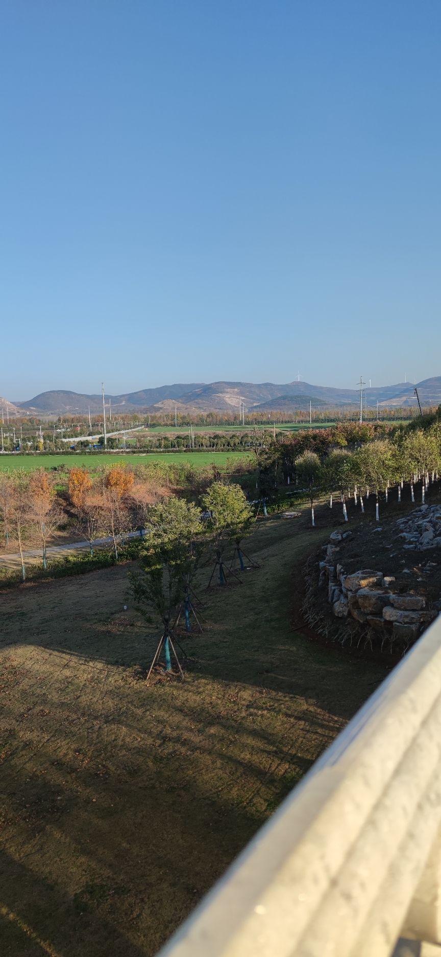 花山公园旅行图片 1
