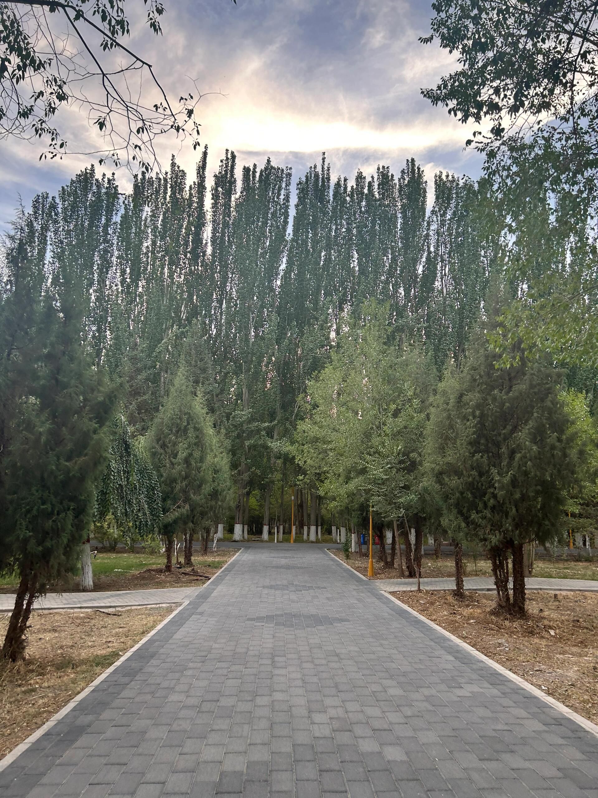 昆仑公园旅行图片 2