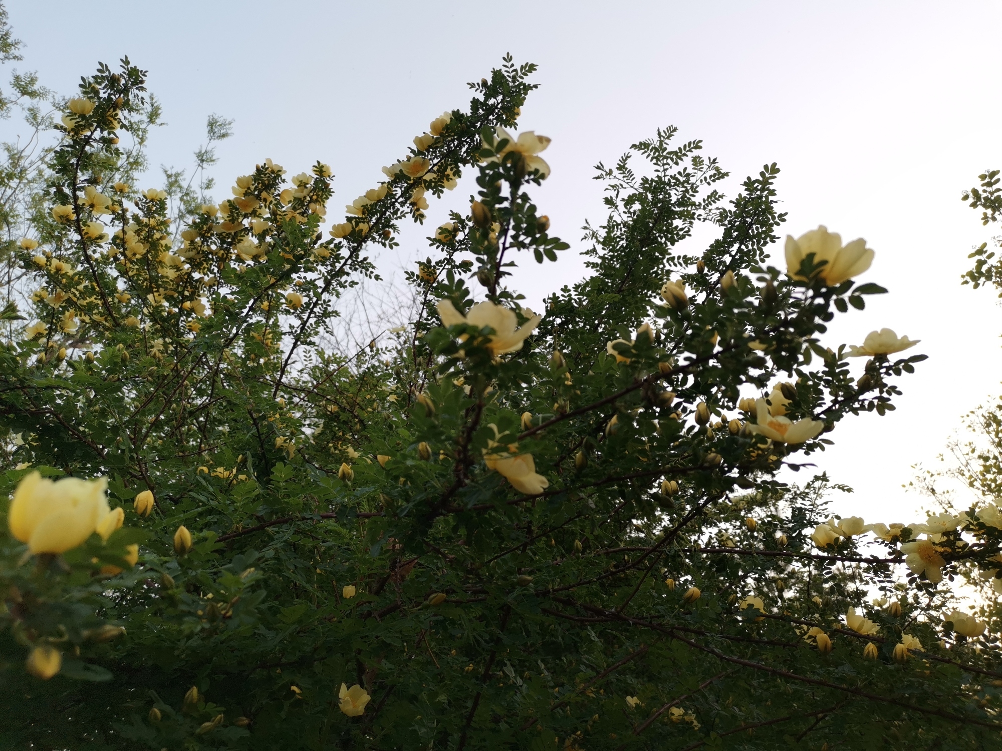 昆仑公园旅行图片 3