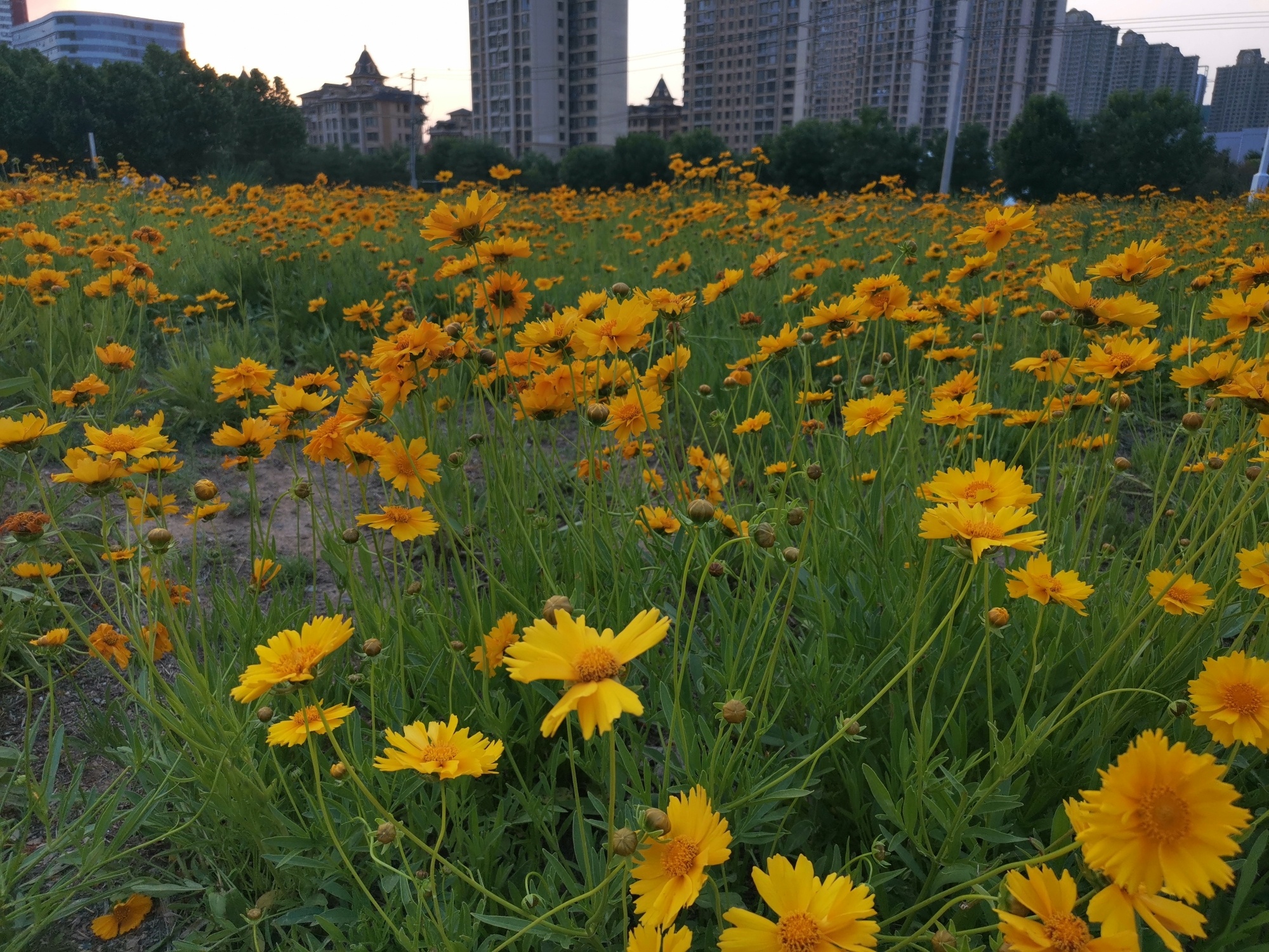 昆仑公园旅行图片 2