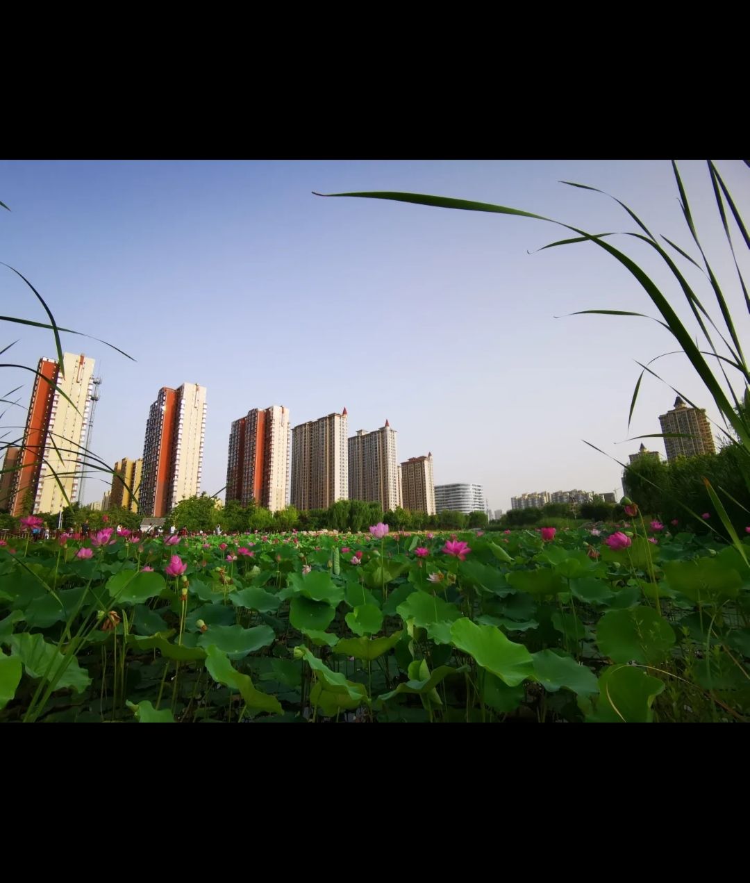 昆仑公园旅行图片 3
