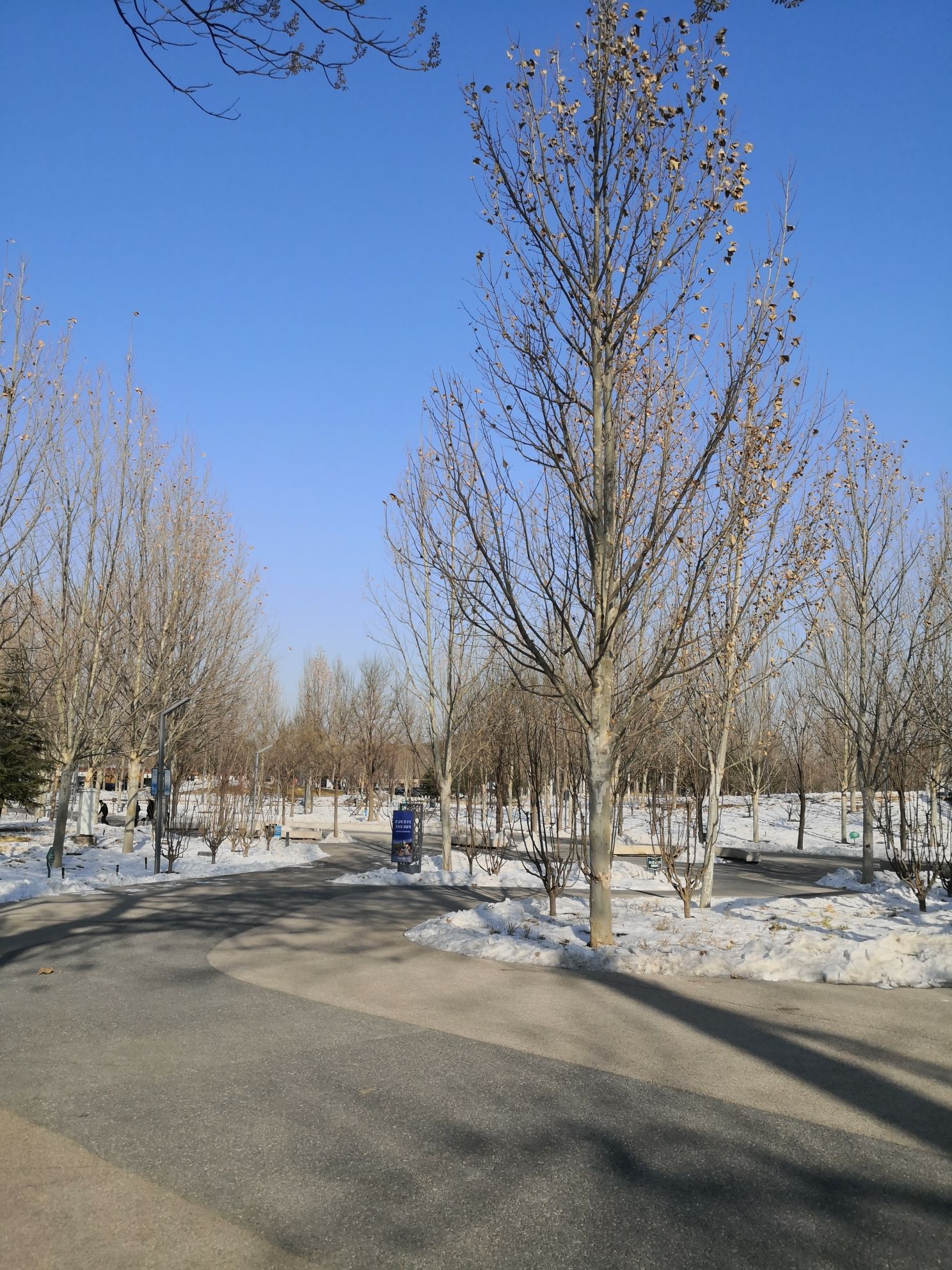 西长安街文化艺术公园旅行图片 2