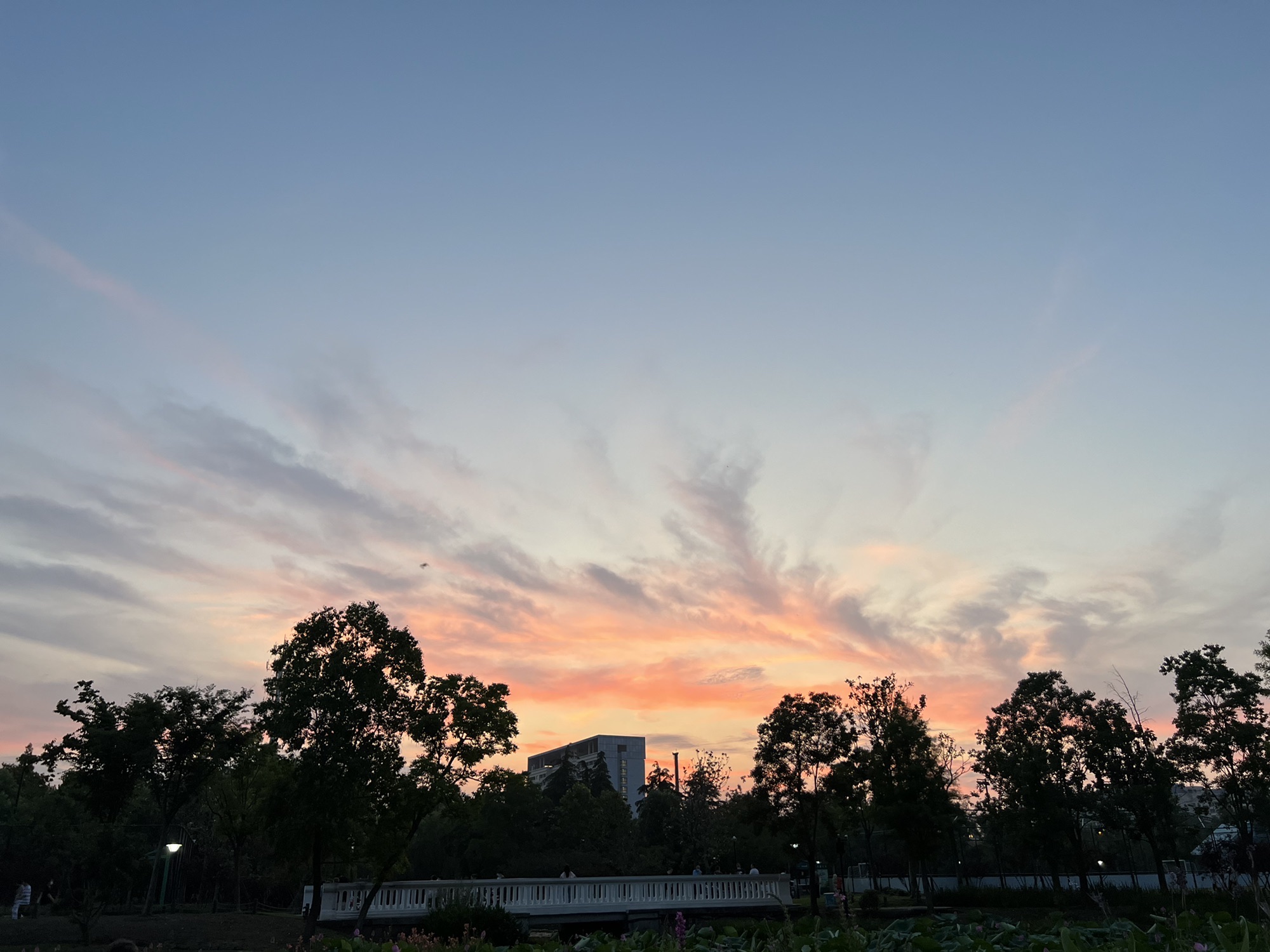 方松体育公园旅行图片 2