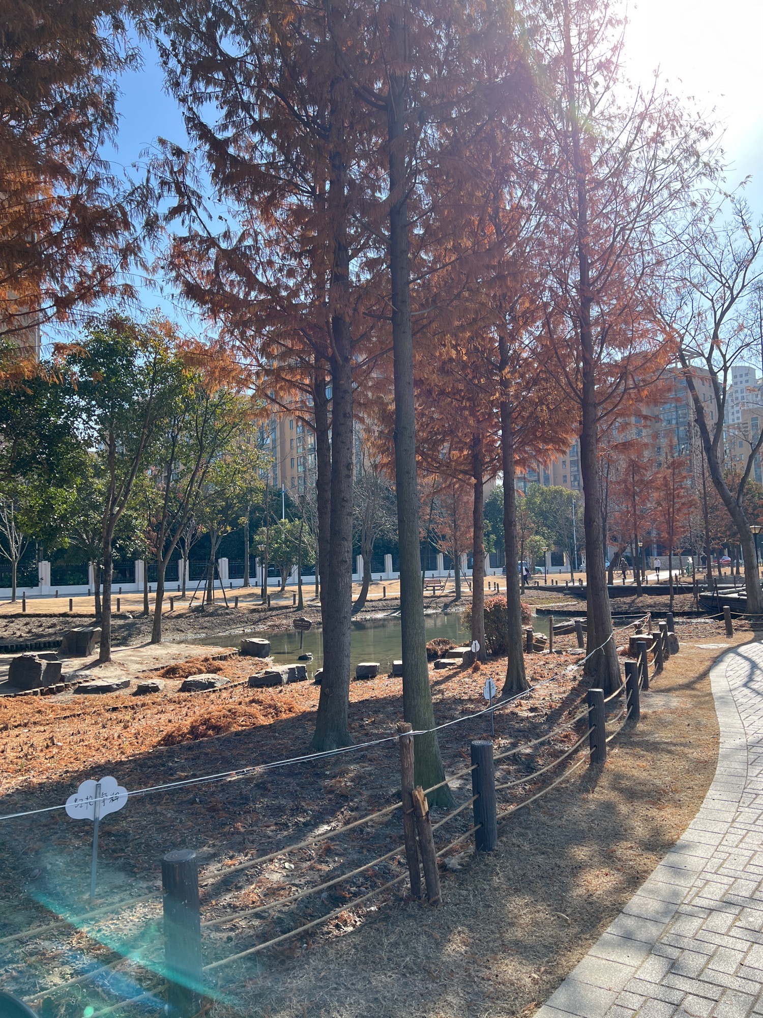 方松体育公园旅行图片 3
