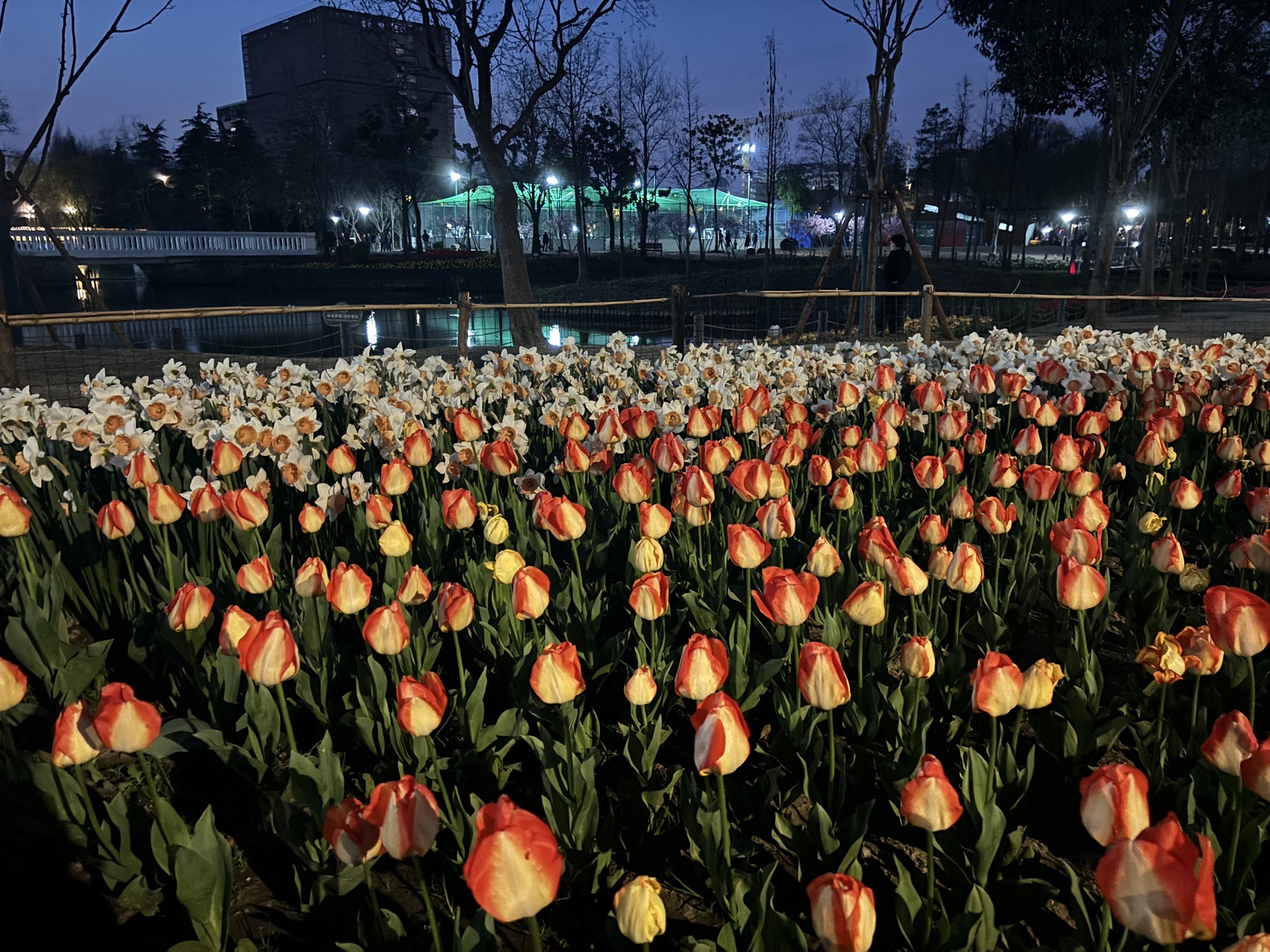 方松体育公园旅行图片 1