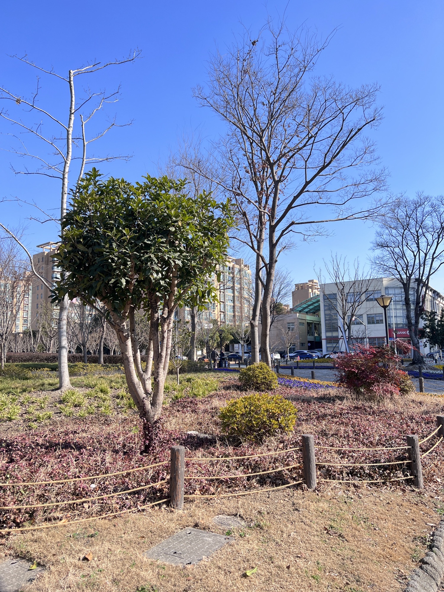 方松体育公园旅行图片 2