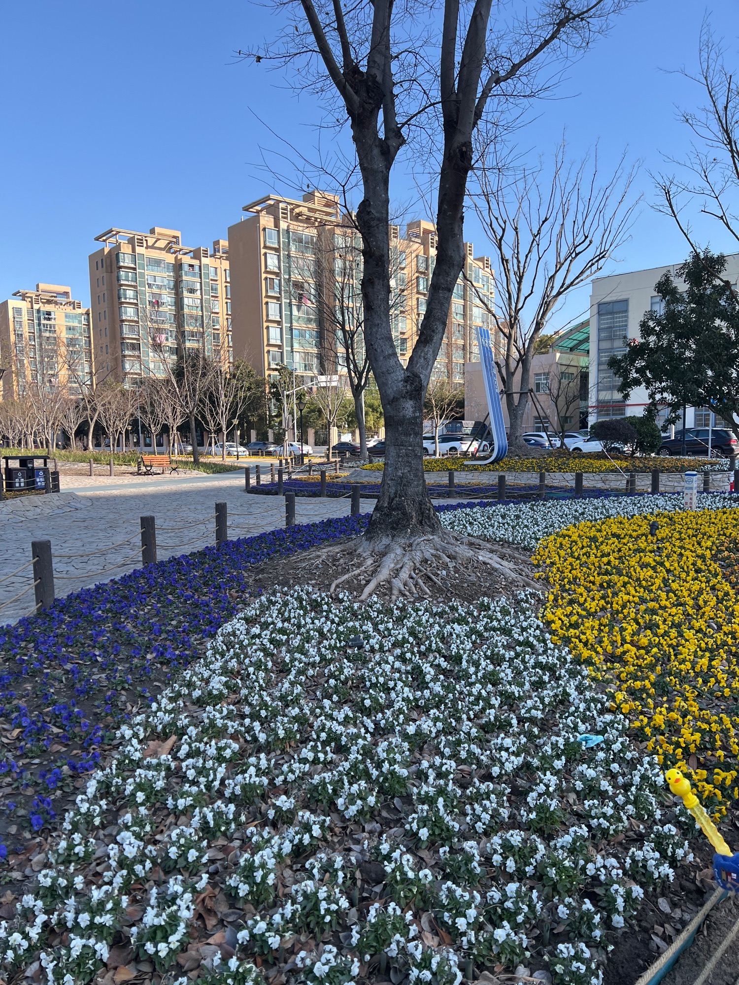 方松体育公园旅行图片 1