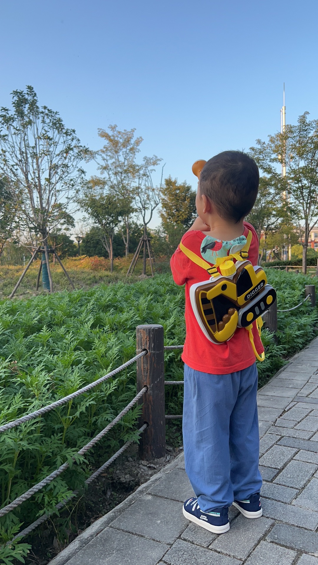 方松体育公园旅行图片 1