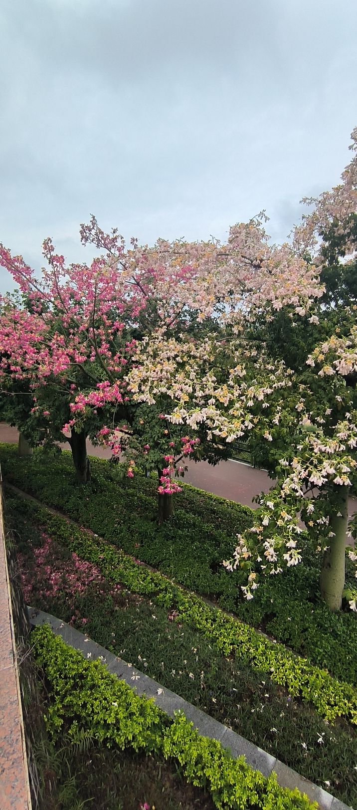 滨江生态公园旅行图片 3