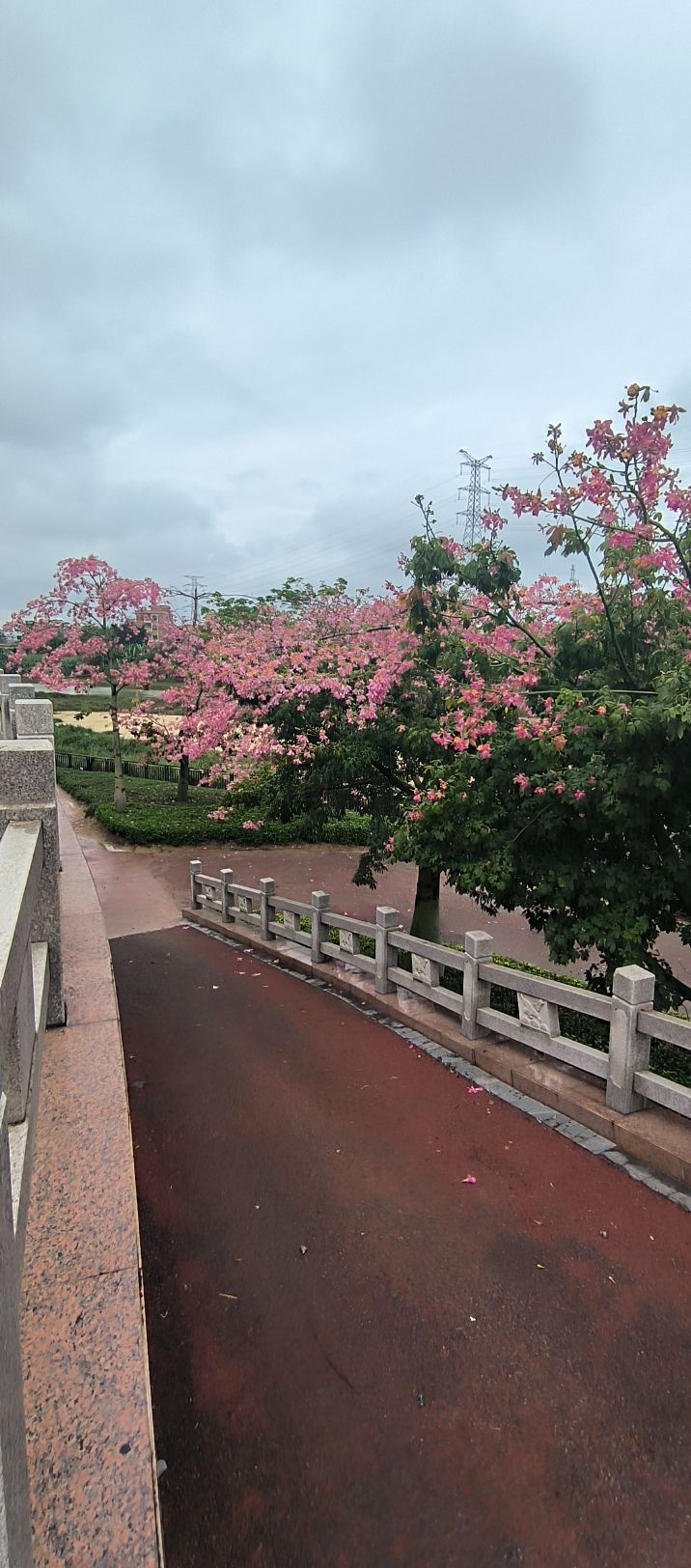 滨江生态公园旅行图片 2