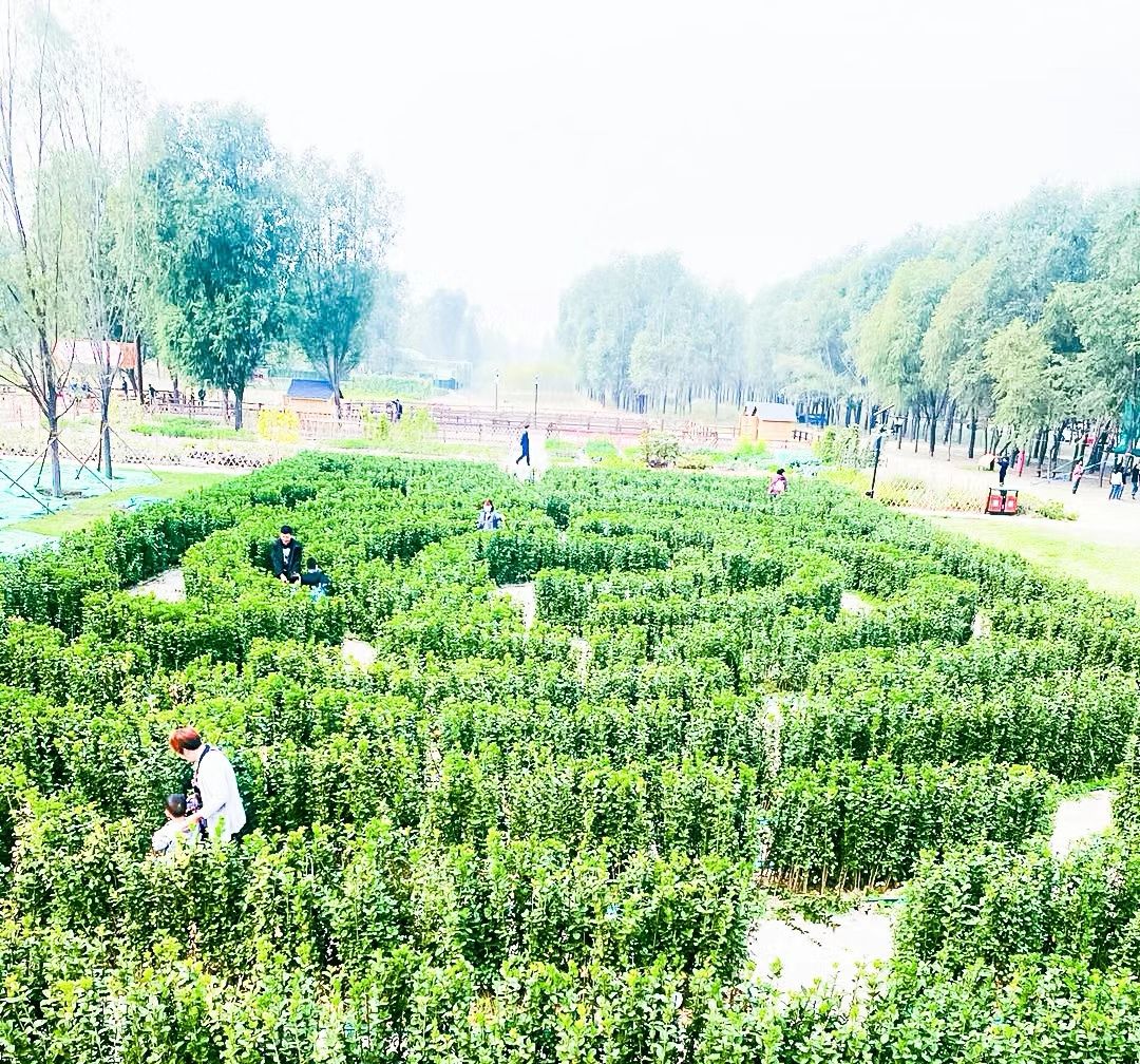 春风十里·半亩方塘旅行图片 3