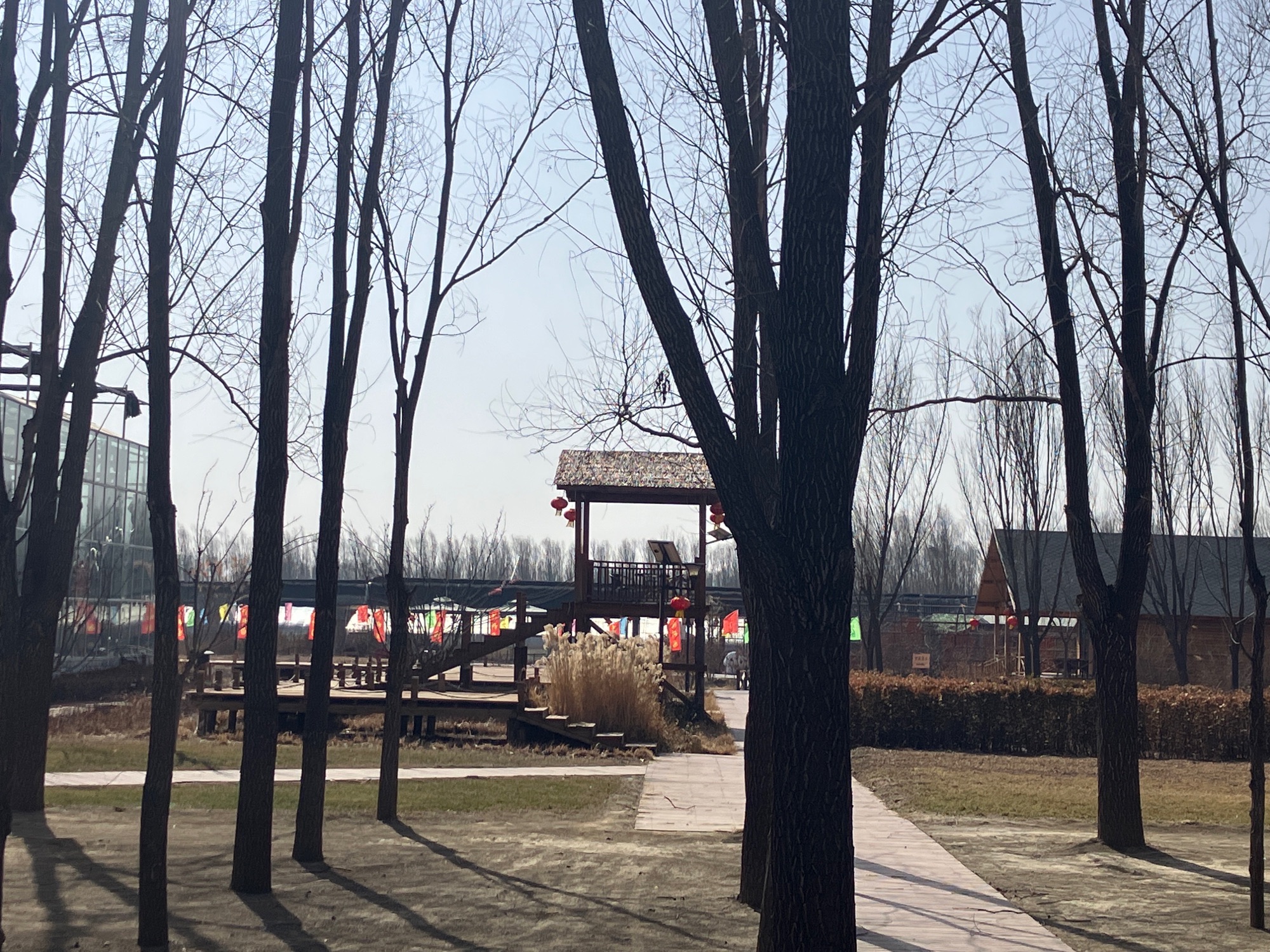 春风十里·半亩方塘旅行图片 3