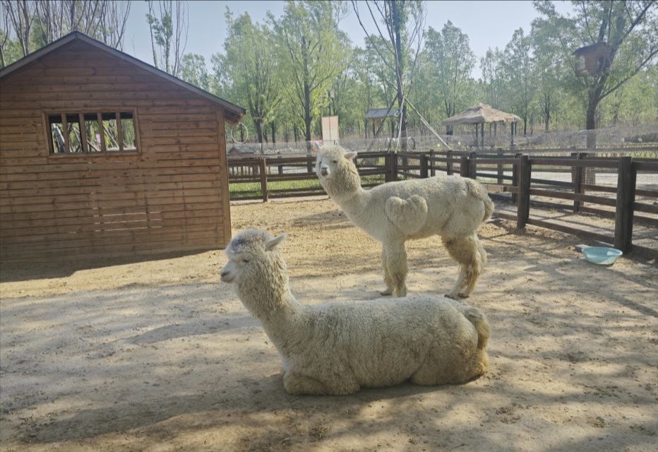 春风十里·半亩方塘旅行图片 2